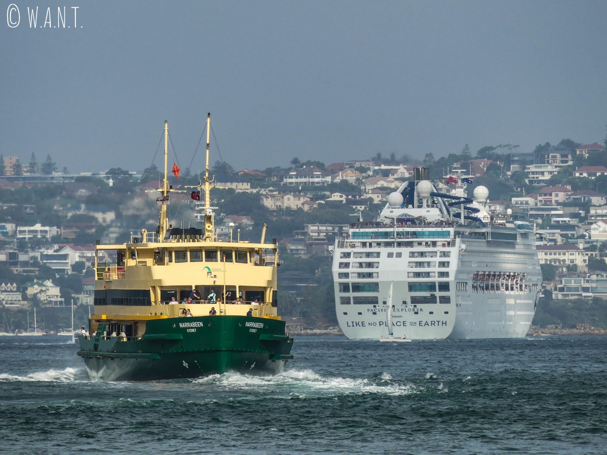 Les ferries côtoient les bateaux de croisières dans la baie de Sydney