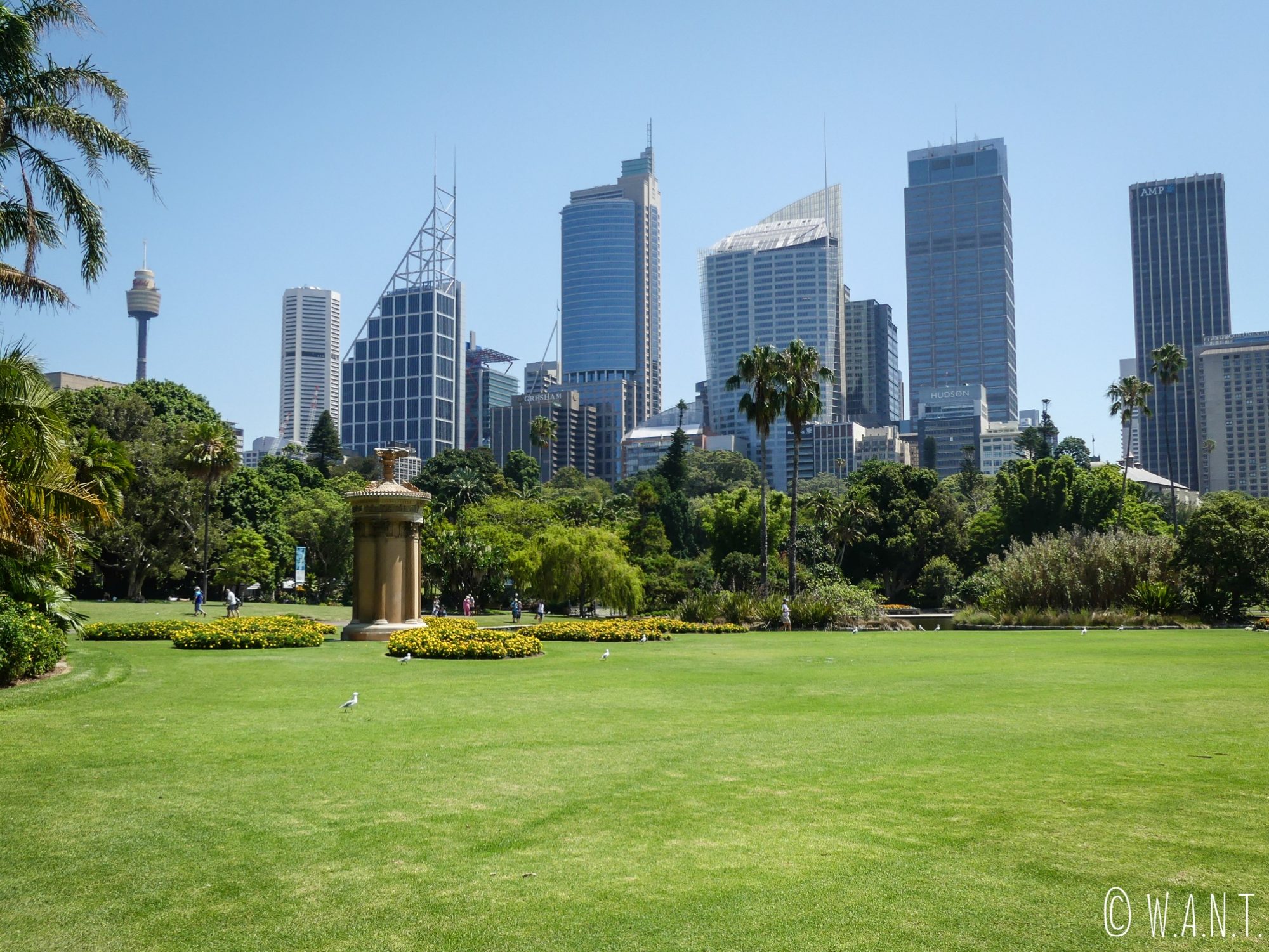 Skyline de Sydney depuis le Royal Botanic Garden