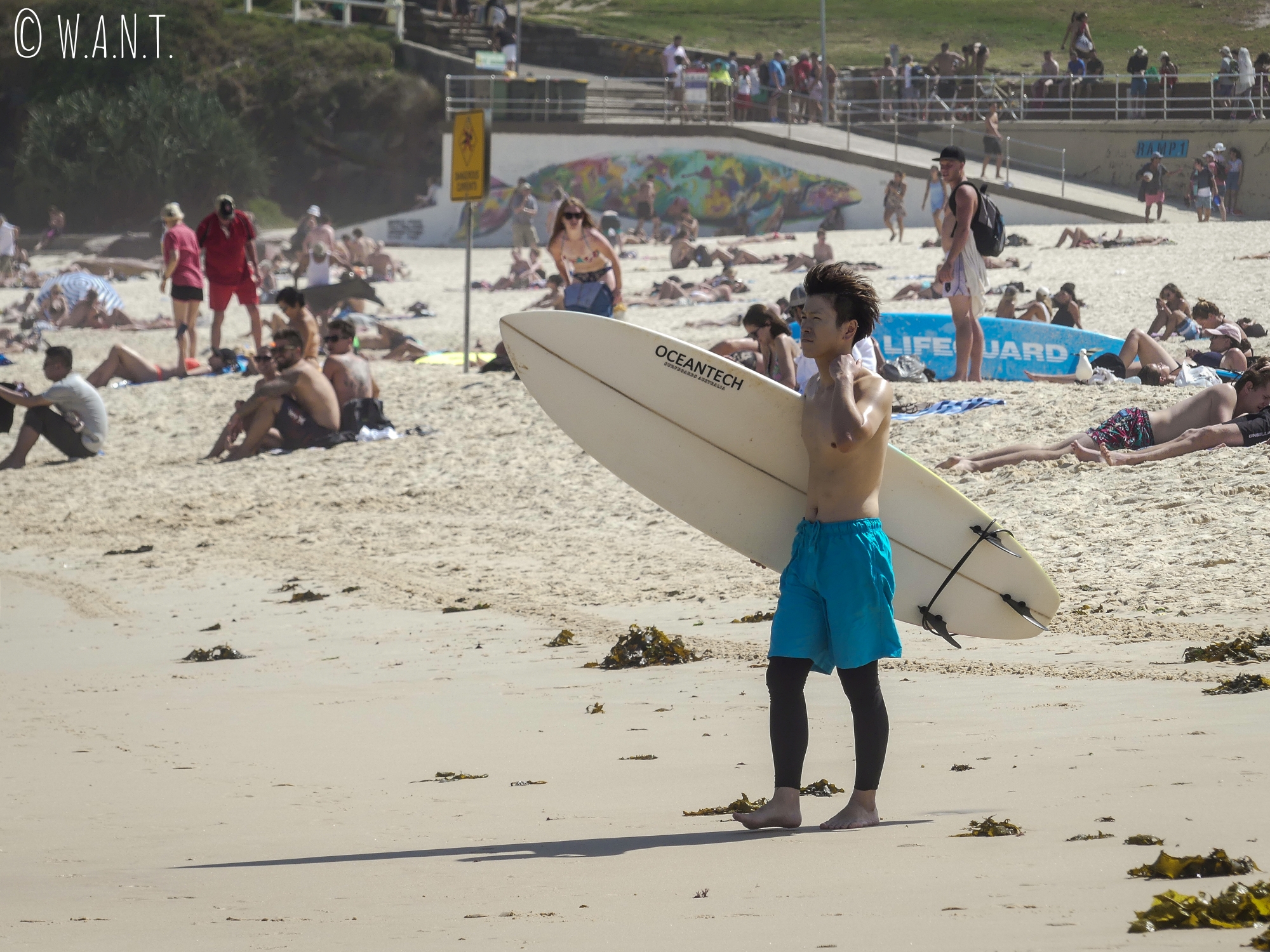 Surfeur sur la plage de Bondi près de Sydney