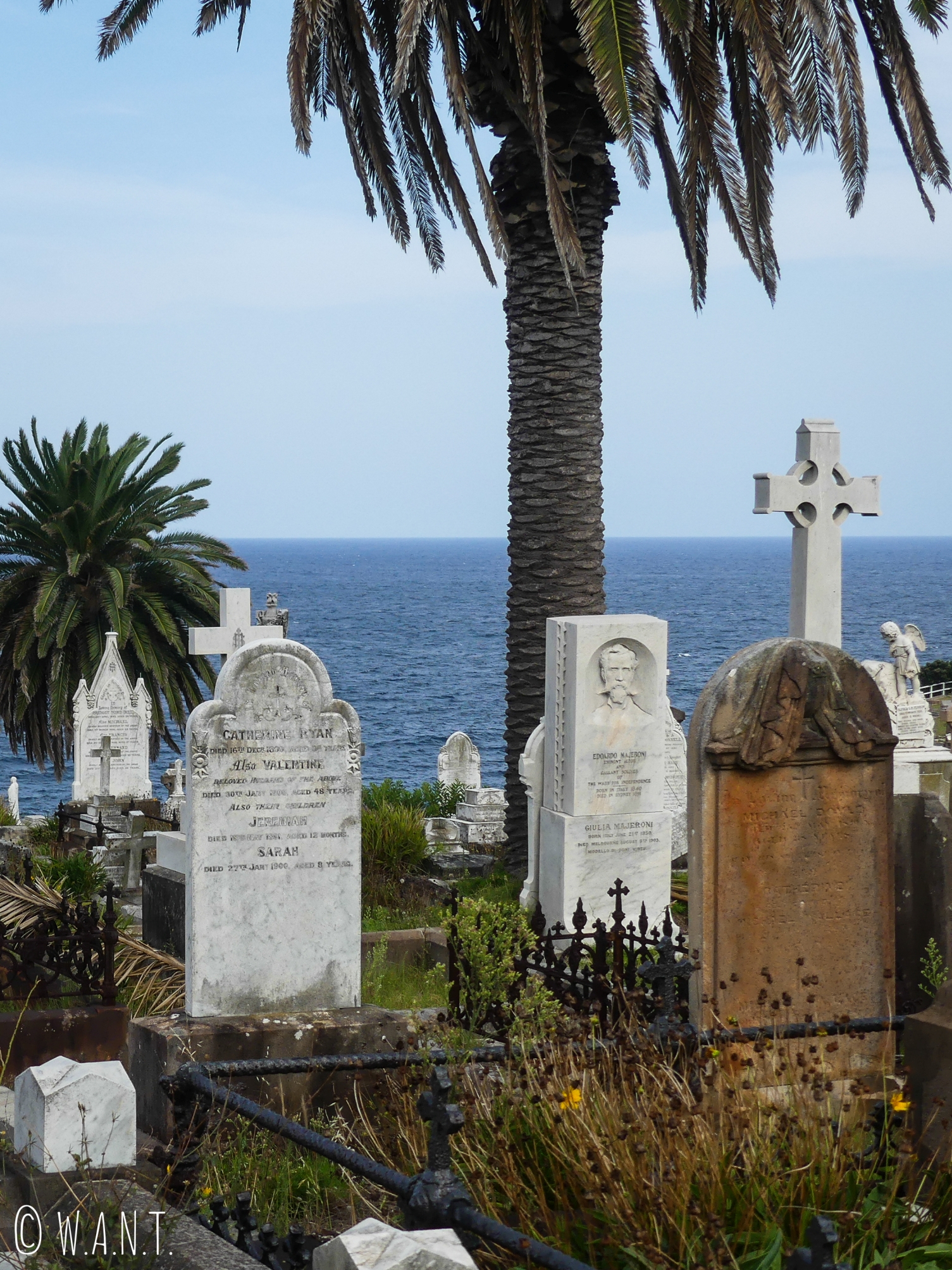 Waverley Cemetery sur la Coastal Walk de Bondi à Cogee
