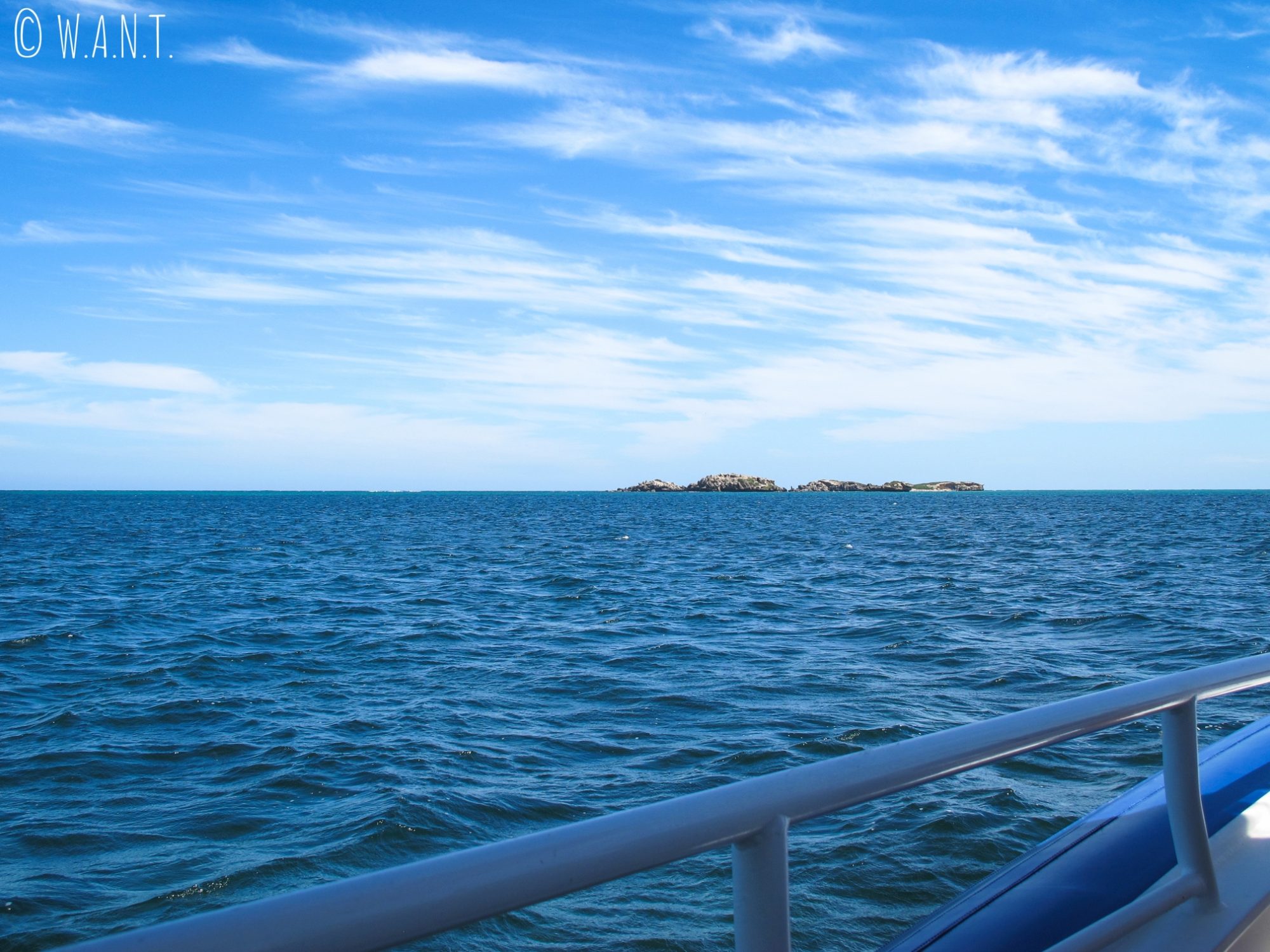 À bord du bateau pour la croisière Dolphin, Penguin & Sea Lion Cruise à Penguin Island