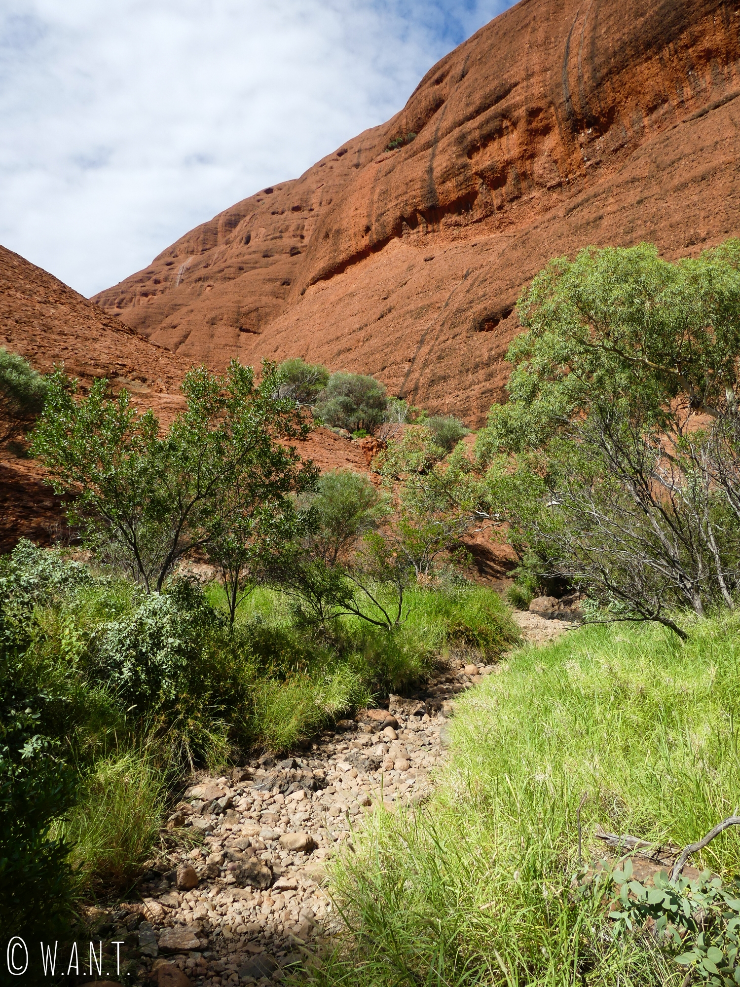 Chemin de la randonnée Valley of the Winds Walk du parc national Uluru-Kata Tjuta