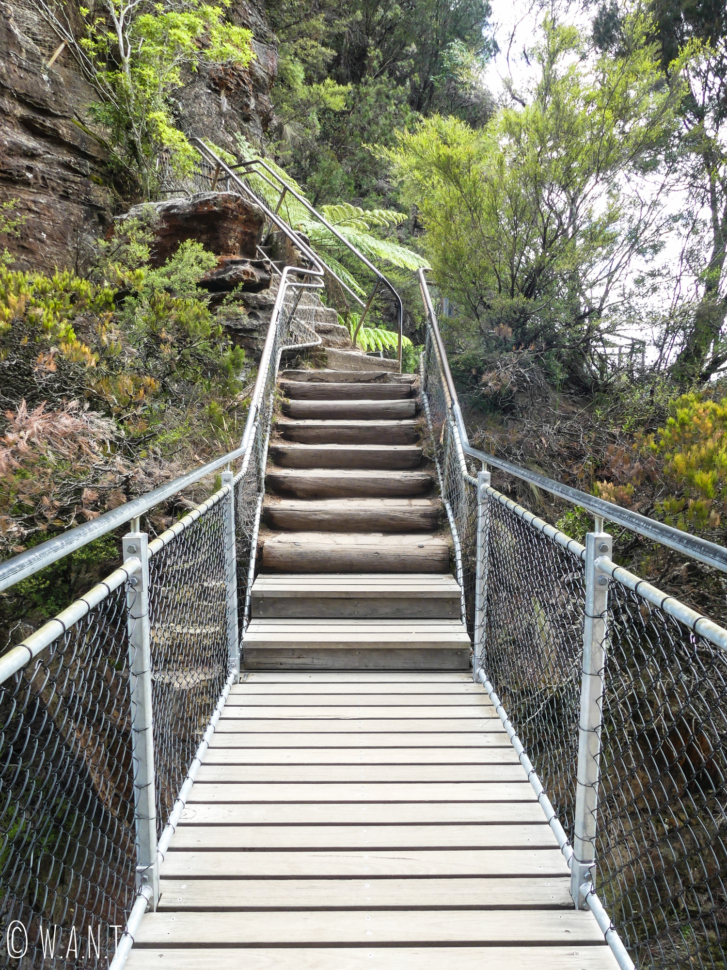 Il n'est pas rare de tomber sur des passerelles et escaliers lors d'une randonnée dans les Blue Mountains