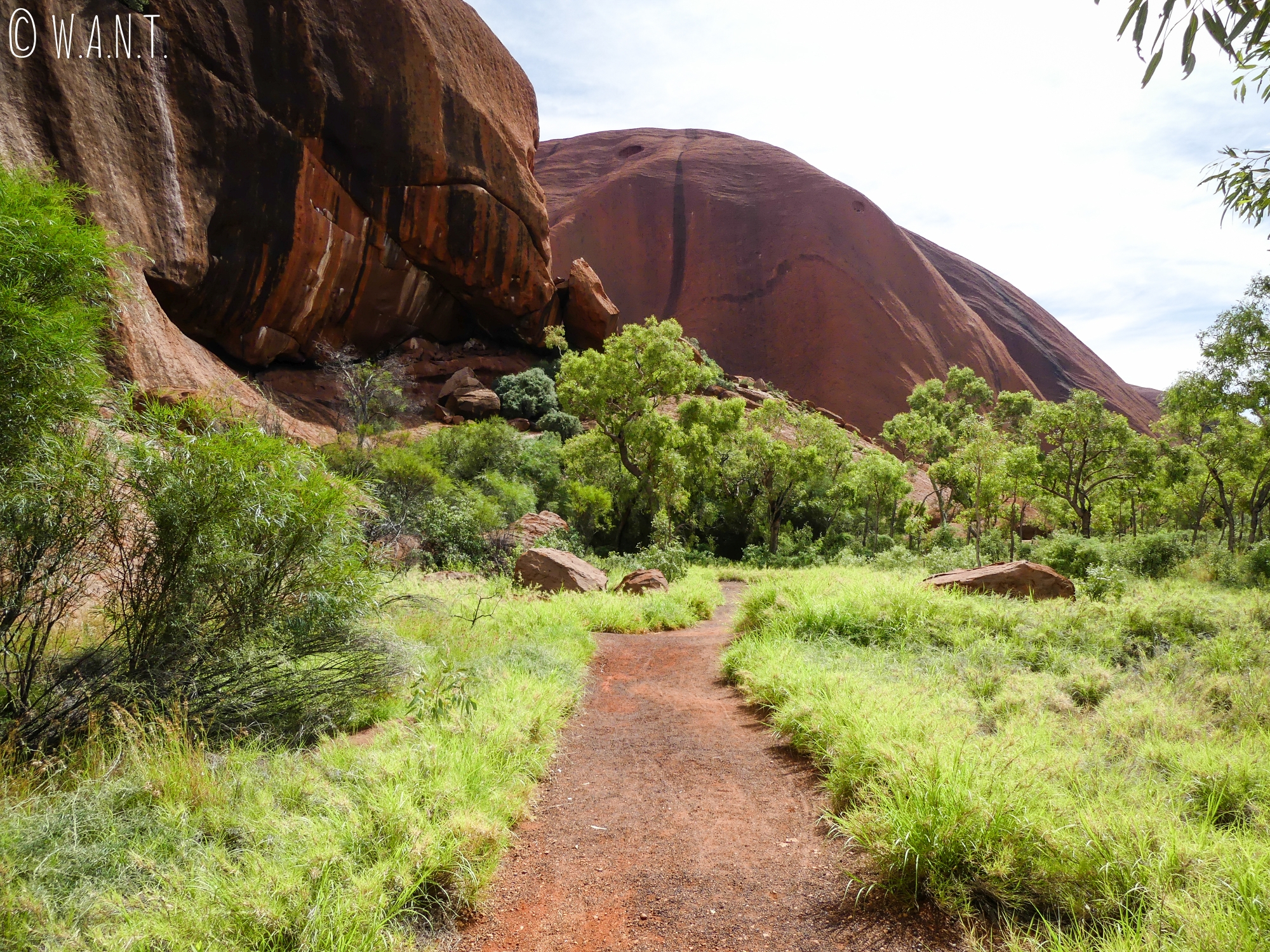 La randonnée Uluru Base Walk nous fait longer le rocher