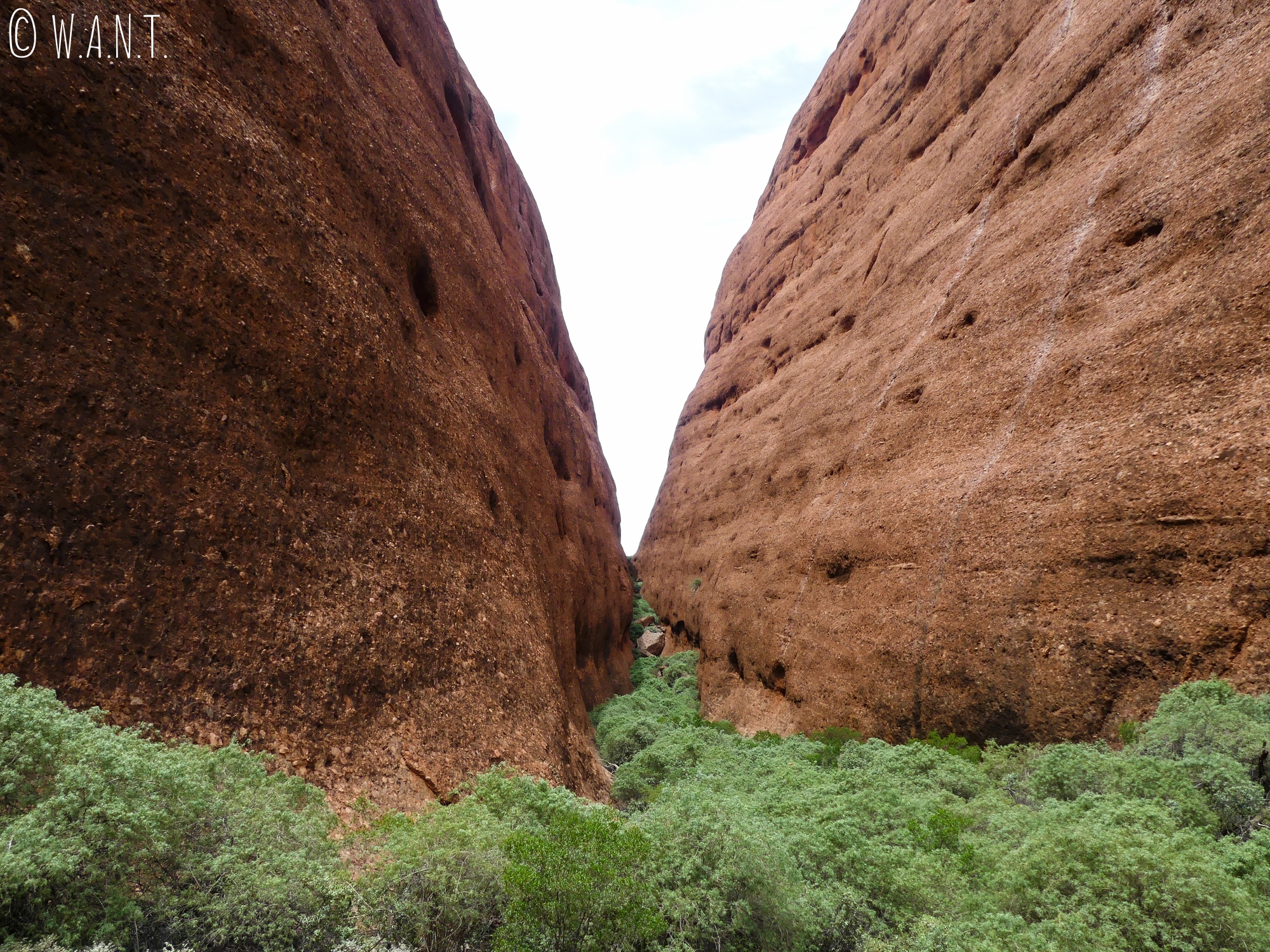 Le trail Walpa Gorge dans le parc national Uluru-Kata Tjuta permet d'accéder à ce point de vue