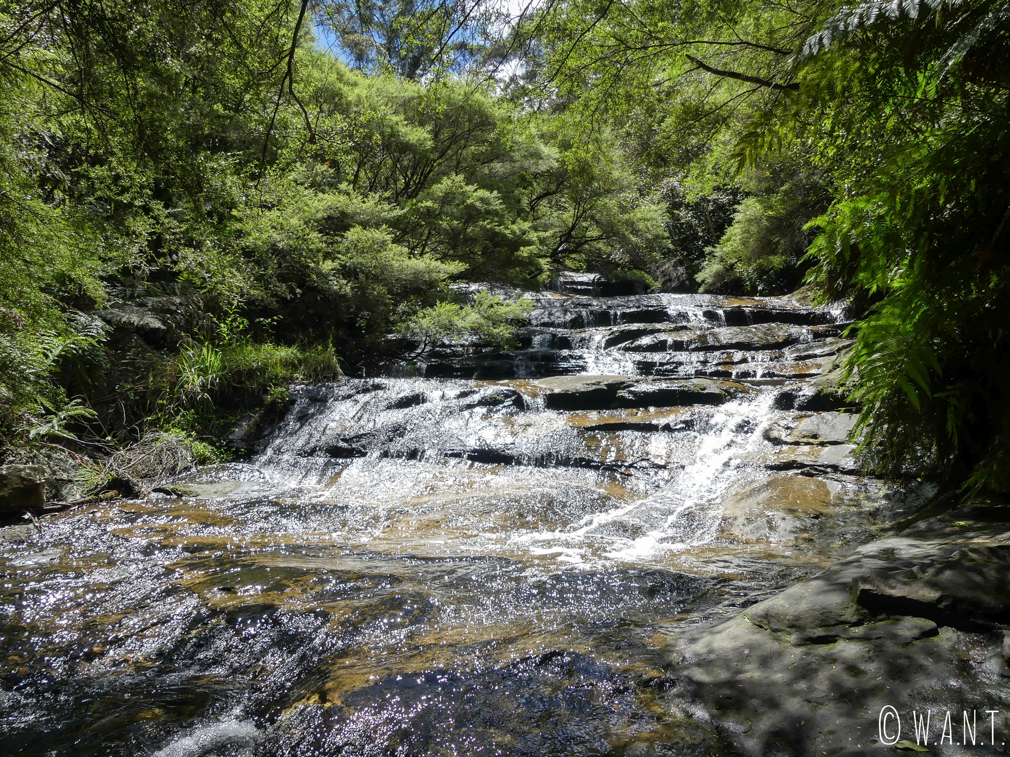 Le parc national de Blue Mountains est également réputé pour ses cascades