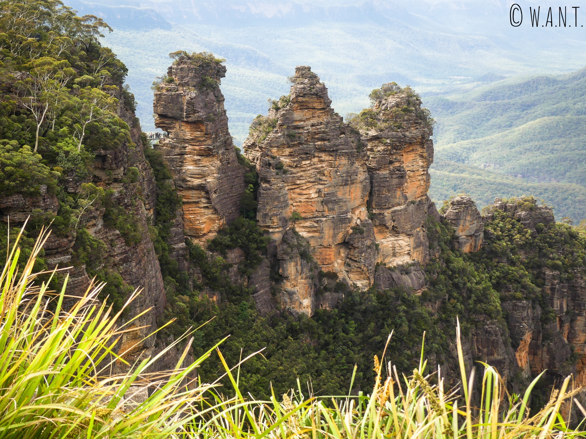 Les Three Sisters, ou Trois Soeurs, sont des rochers célèbres des Blue Mountains