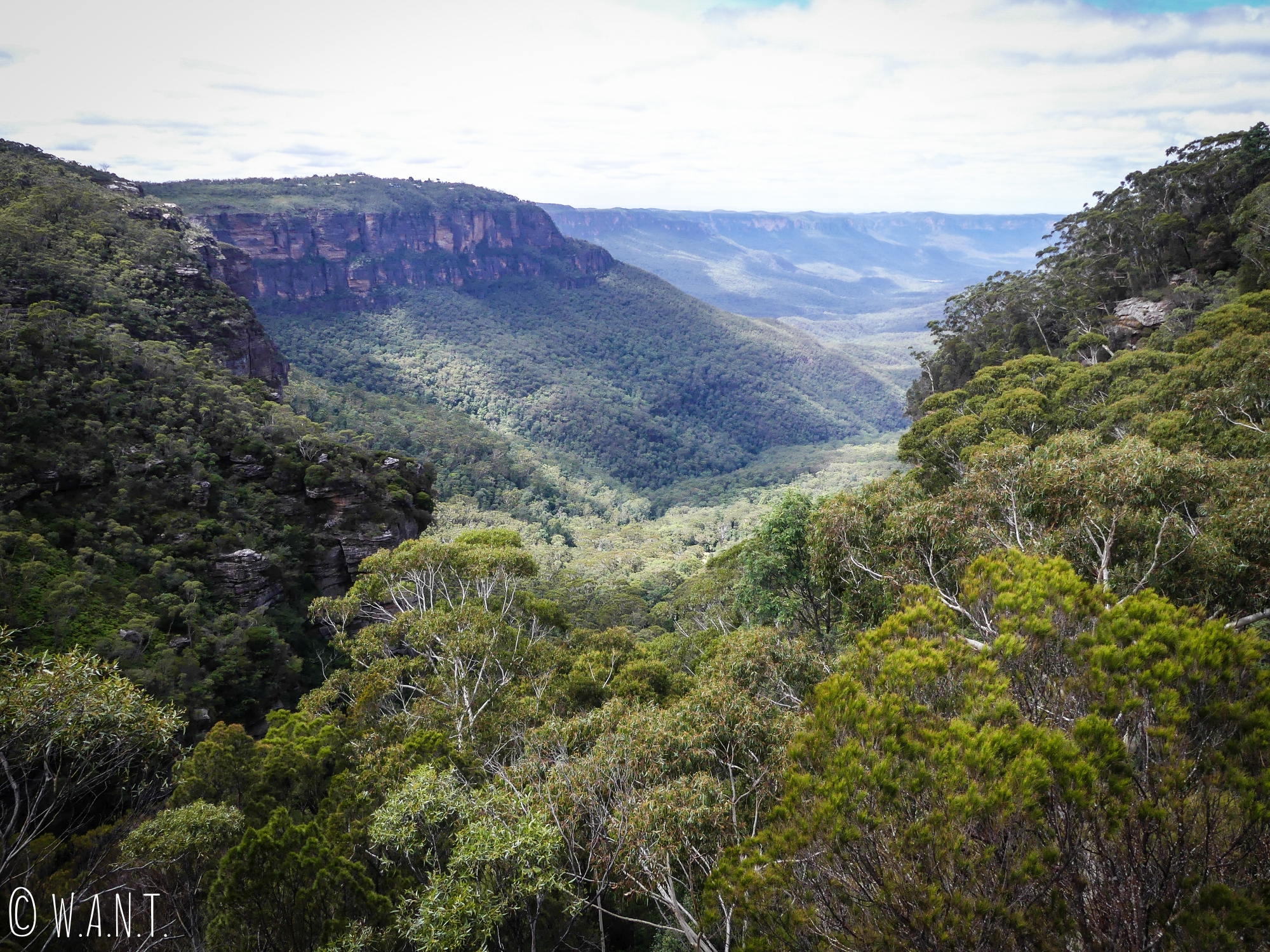 Une vue depuis Katoomba sur le parc national des Blue Moutains