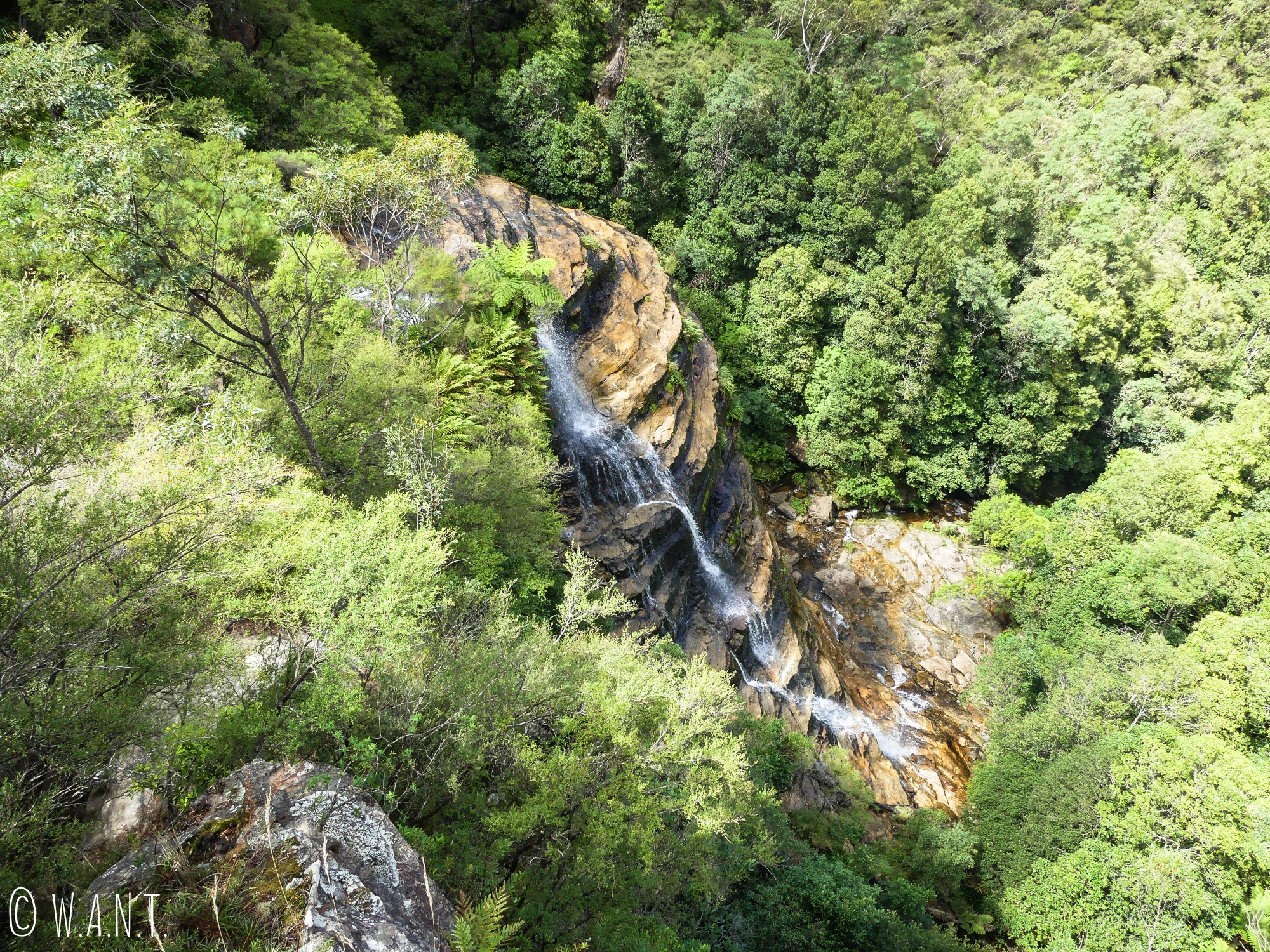 Vue en contrebas sur une chute d'eau du parc national des Blue Mountains