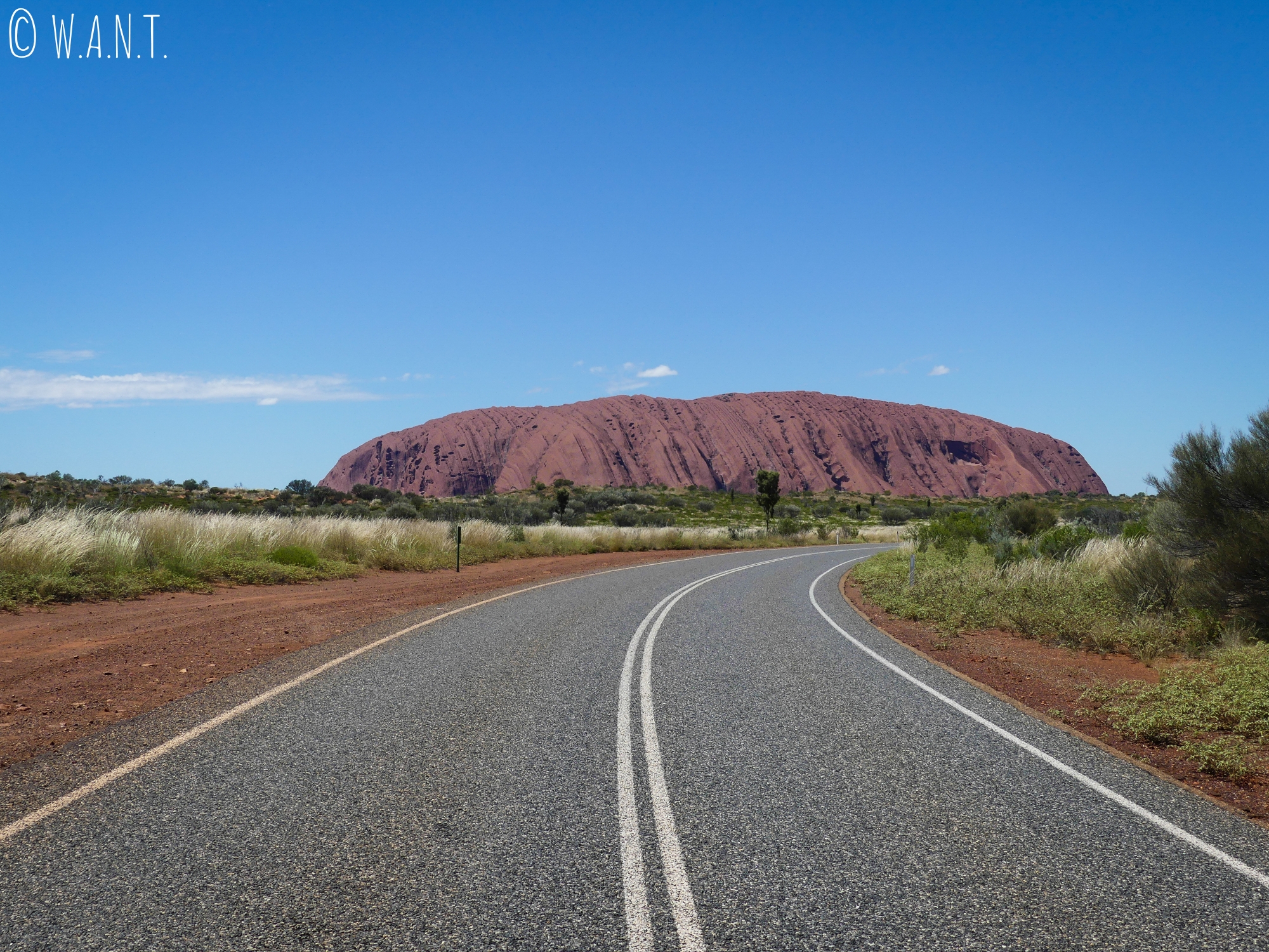 Vue sur Uluru depuis la route