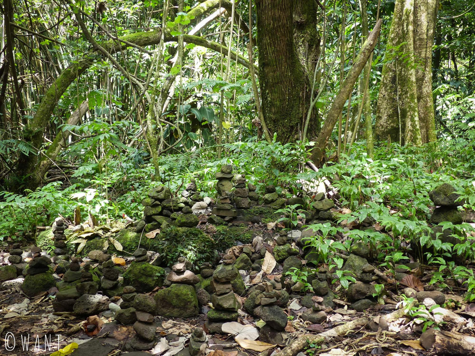 De nombreux Cairns sur le chemin du Col des 3 Cocotiers sur l'île de Moorea
