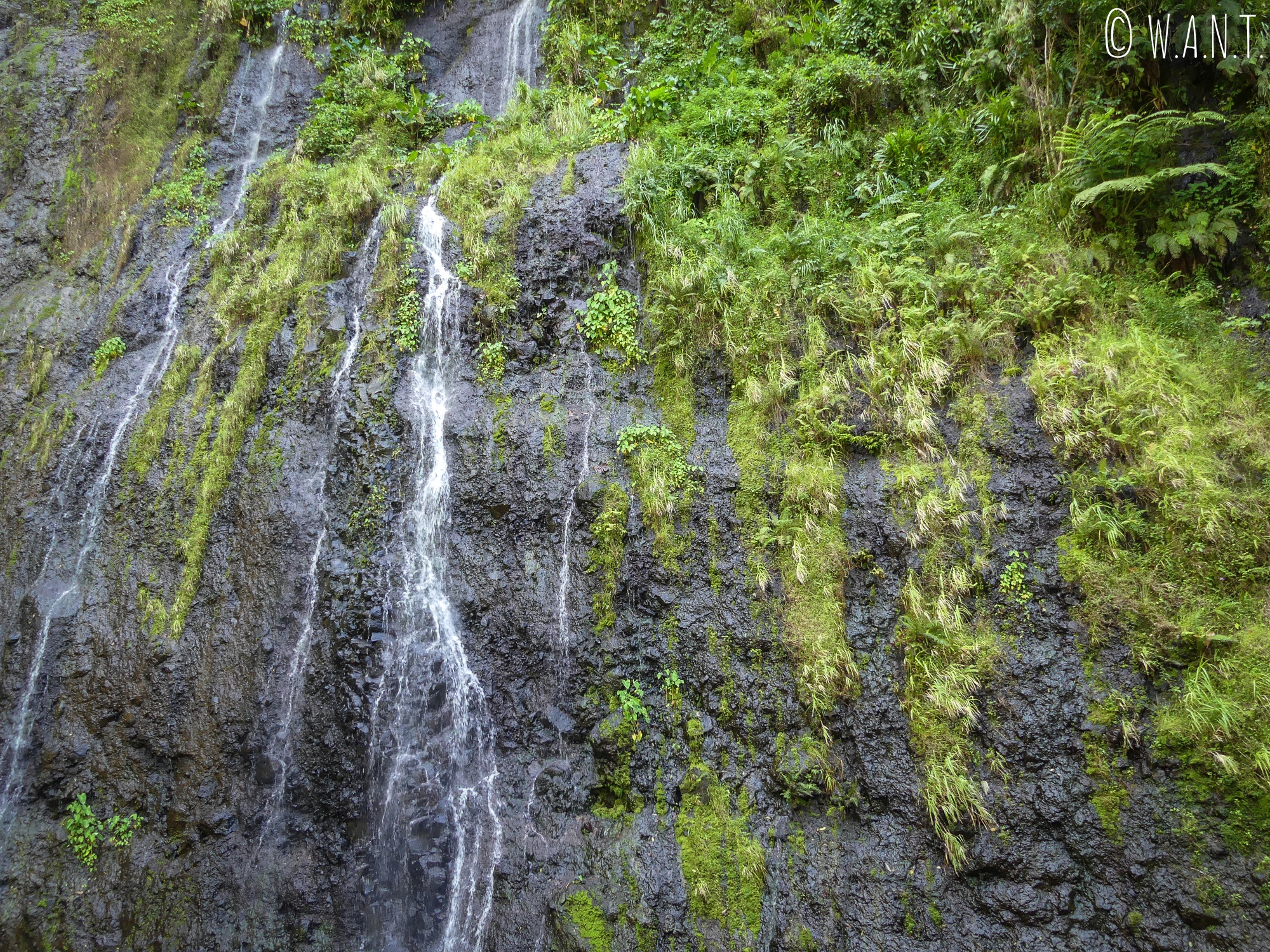 La cascade de Vaimahutu est l'une des trois cascades de Faarumai sur l'île de Tahiti