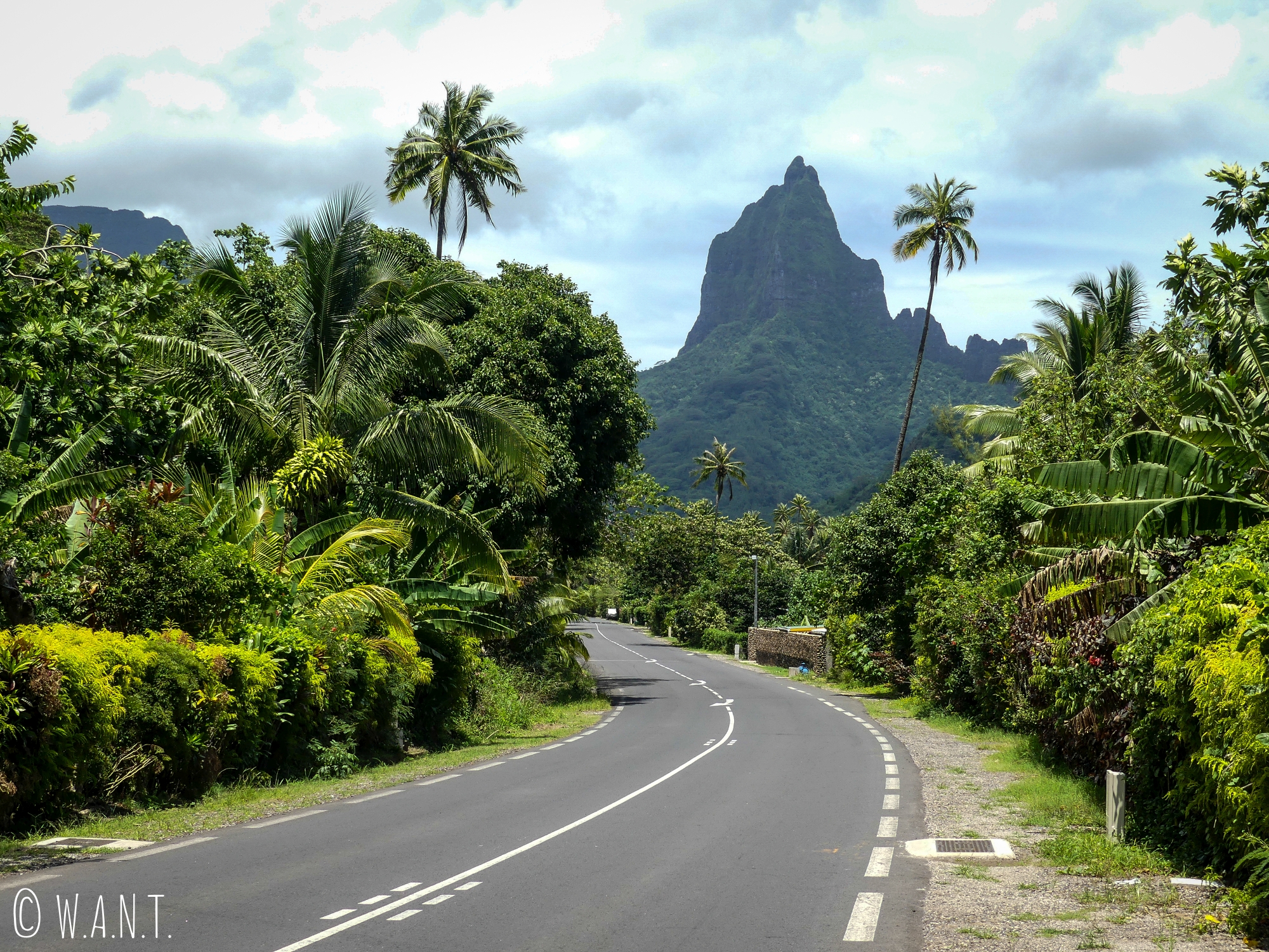 La route jouxte les pitons rocheux sur l'île de Moorea
