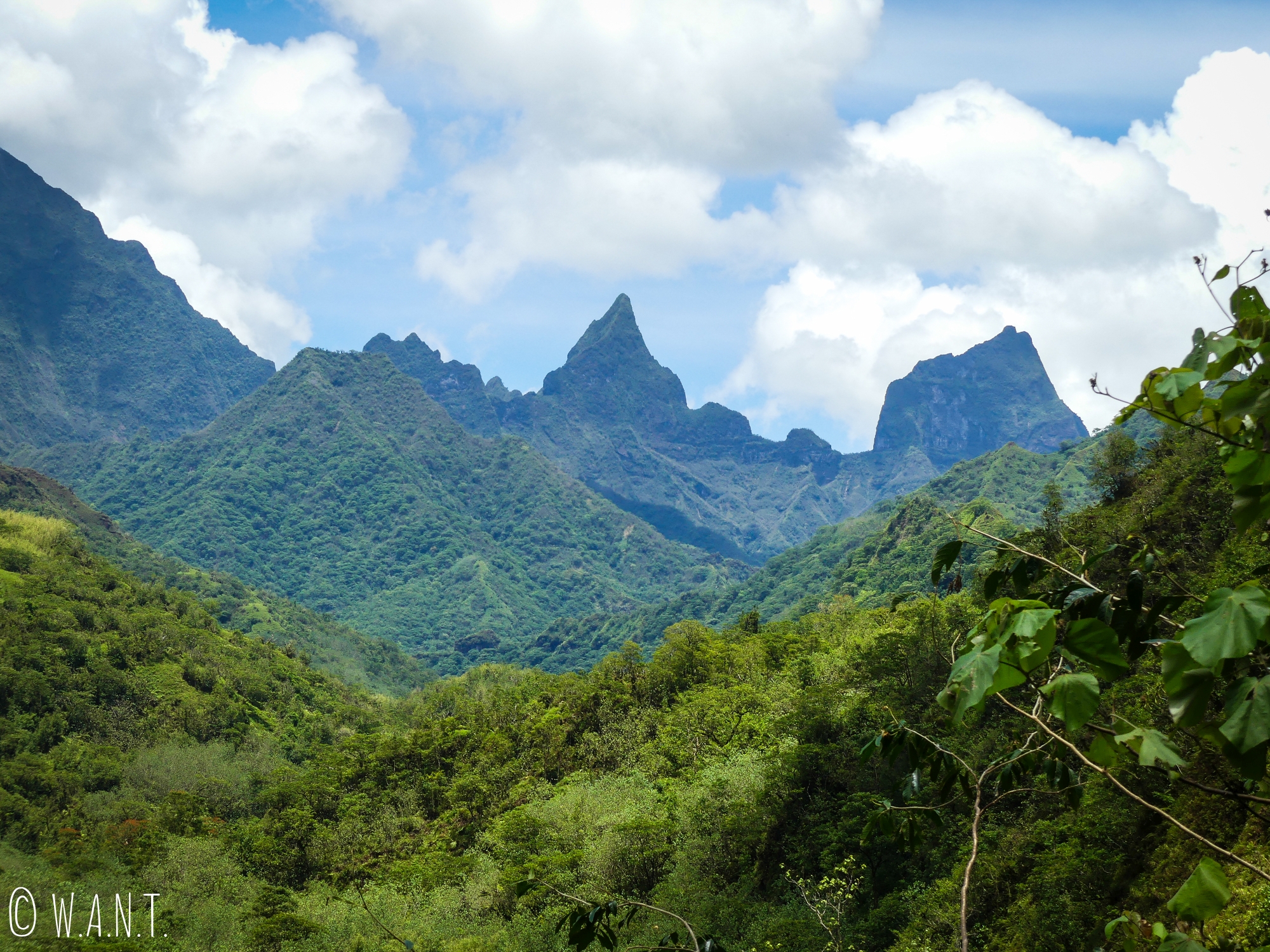 Les sommets sont abruptes dans la vallée de la Papenoo sur l'île de Tahiti