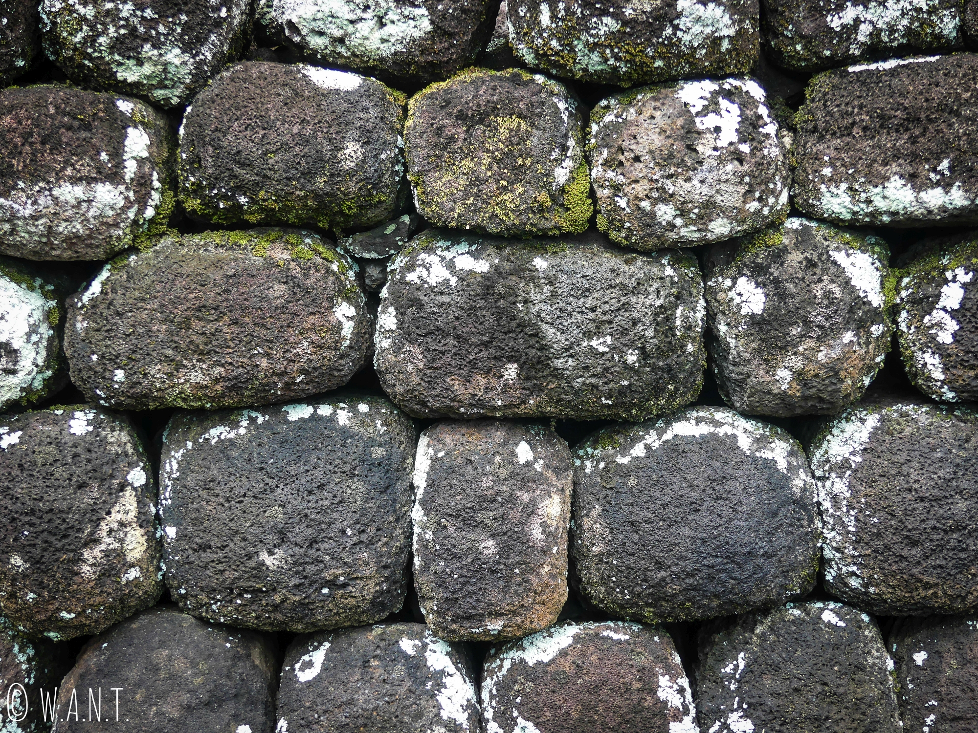 Mur de pierres au Marae 'Arahurahu de Tahiti