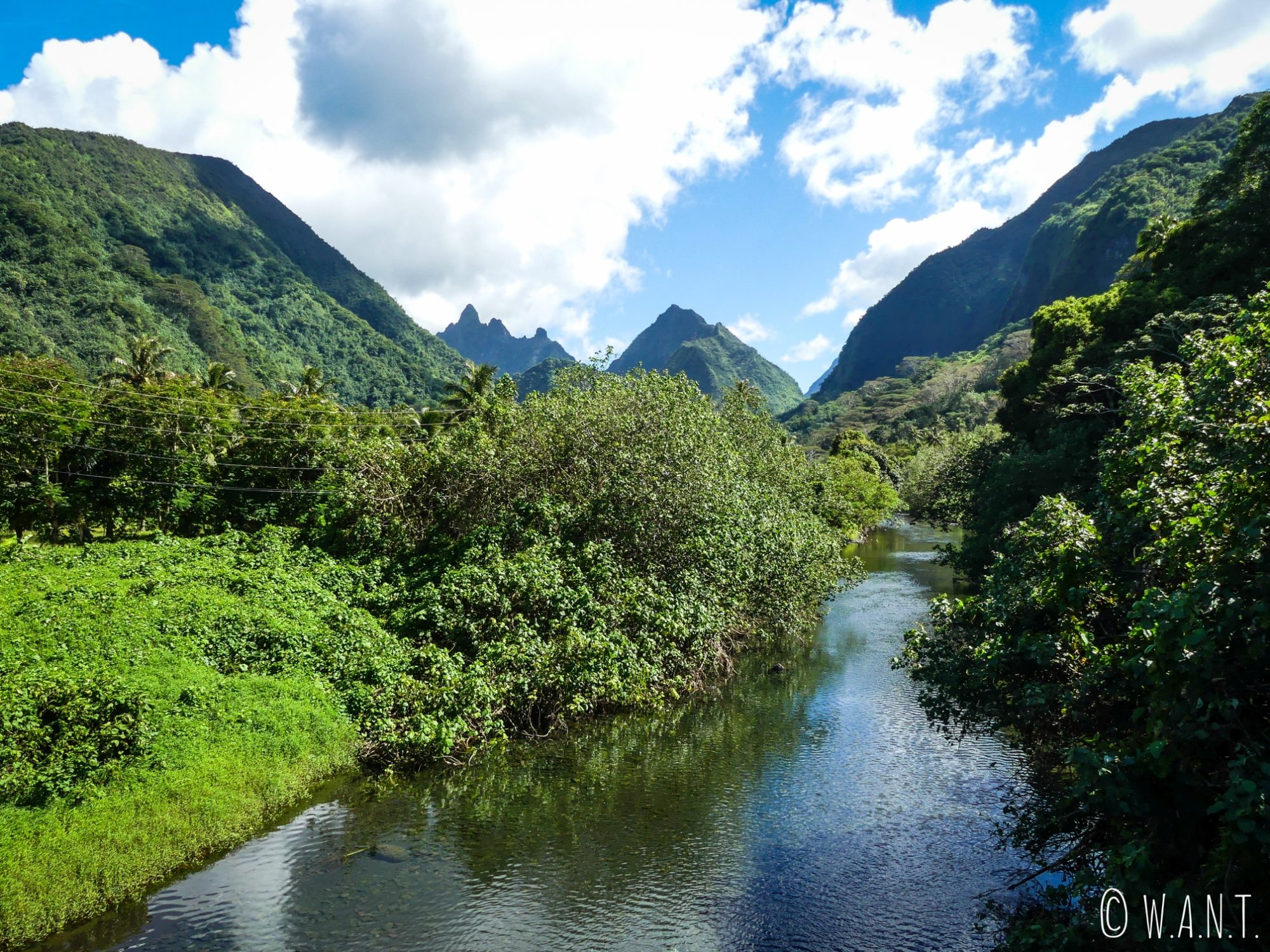 Paysage sur la route de Tautira sur l'île de Tahiti