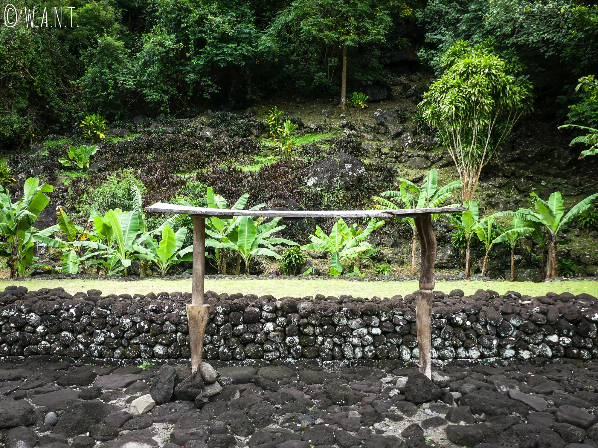Table de sacrifice au Marae Arahurahu de Tahiti