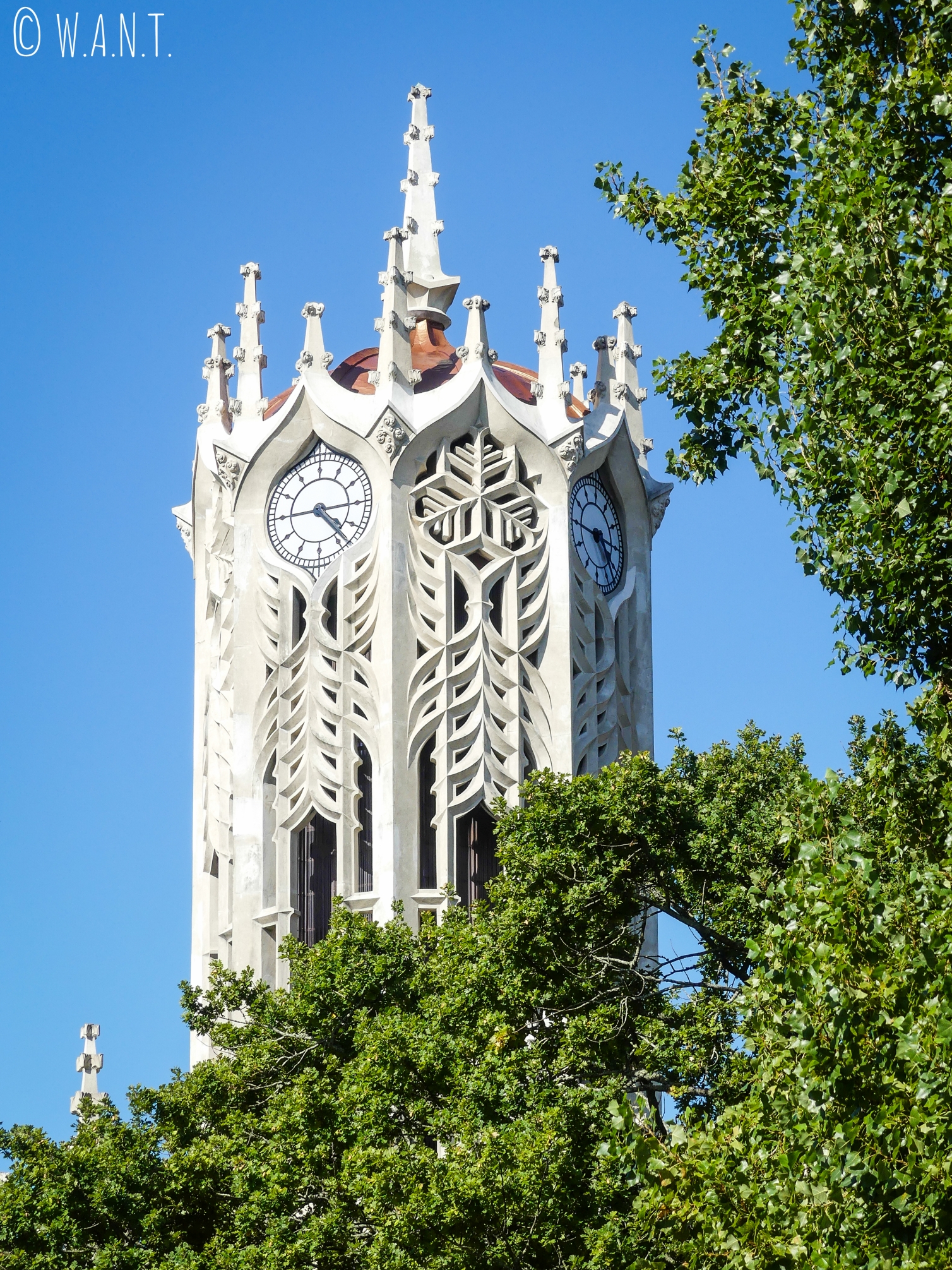 Horloge de l'Université d'Auckland depuis Albert Park