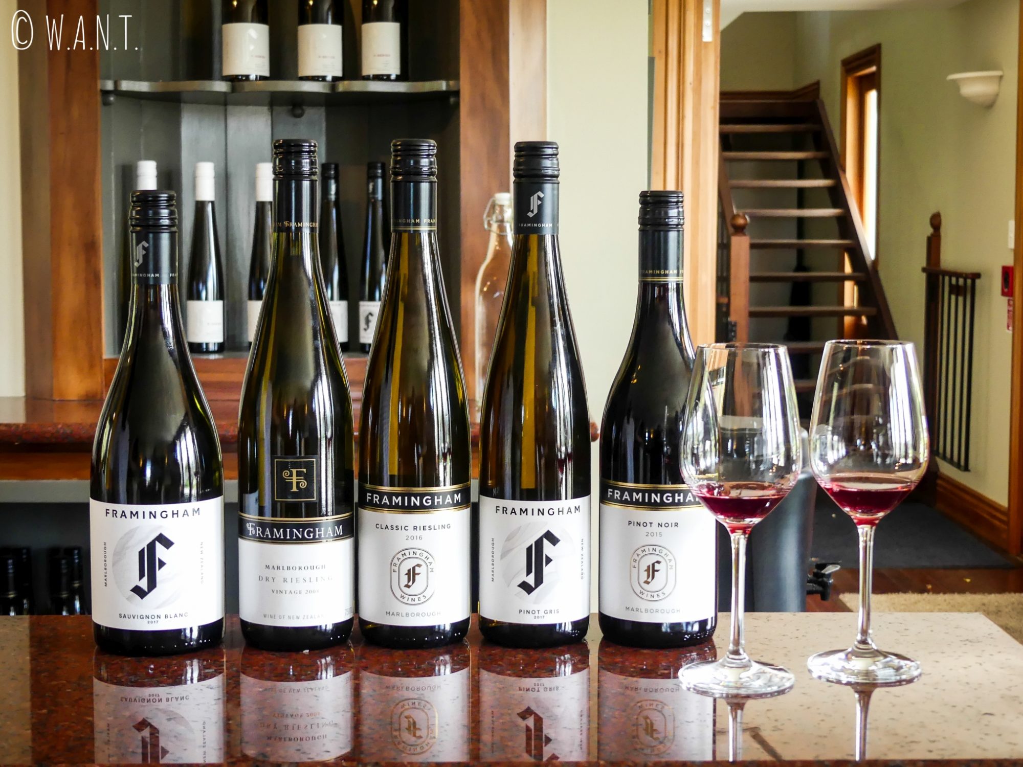 Dégustation de vins au domaine Framingham dans la région de Malborough Sounds en Nouvelle-Zélande