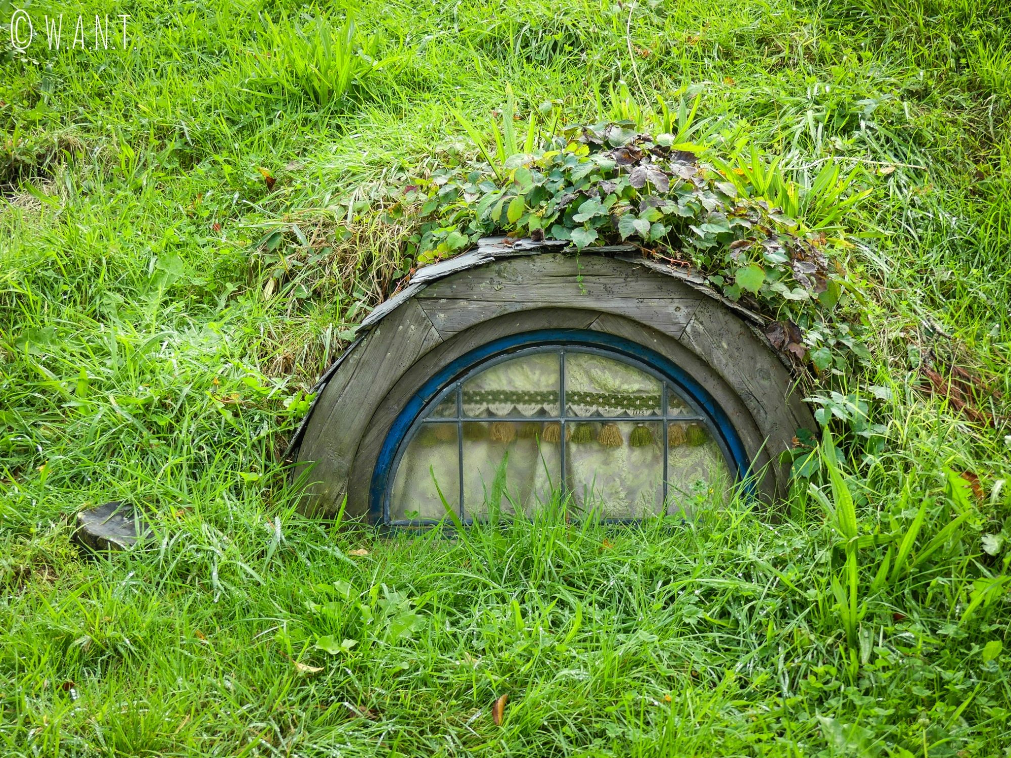 Fenêtre dans le décor de cinéma du site de Hobbiton en Nouvelle-Zélande