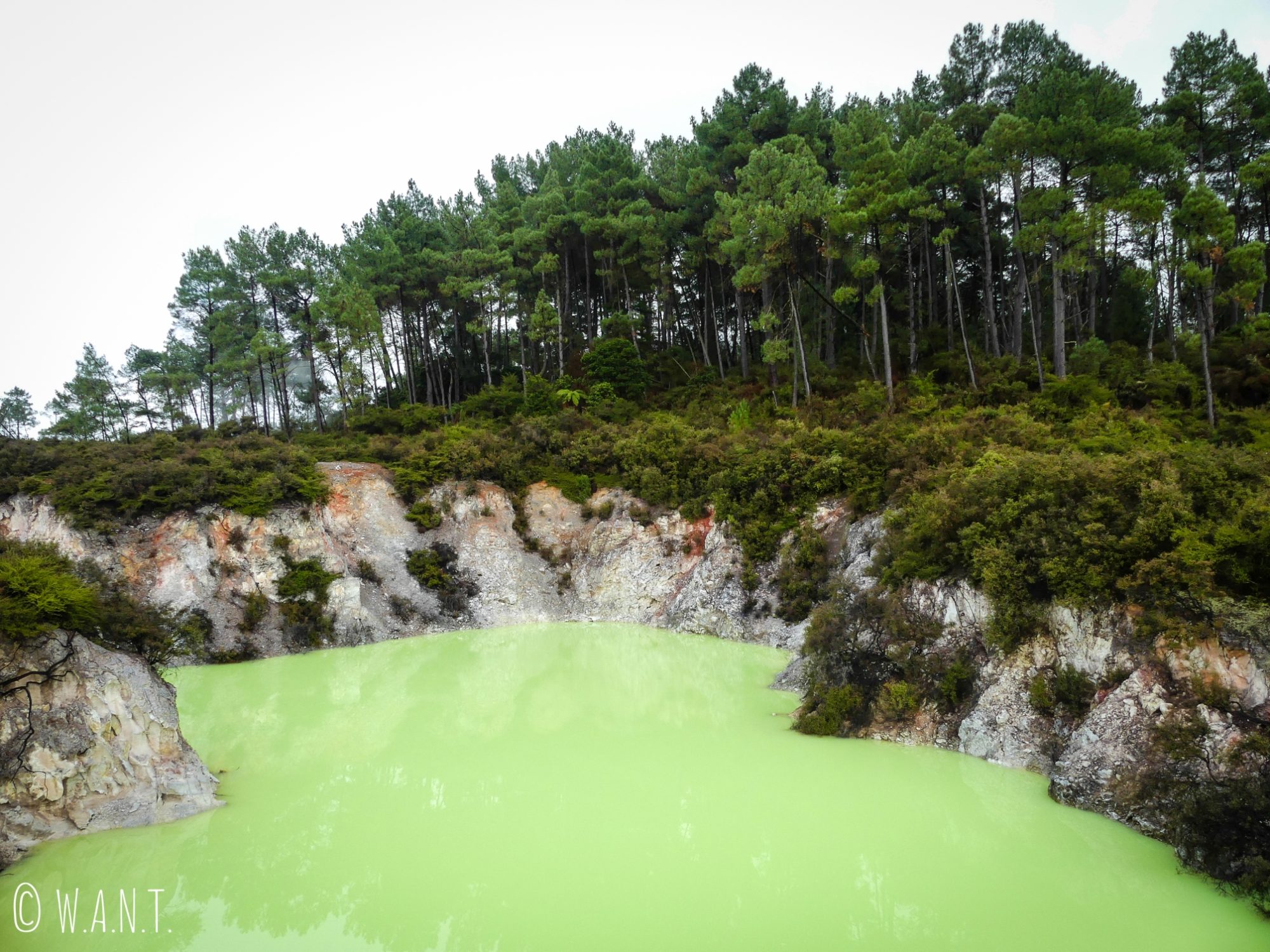 Le Devil's bath du site de Wai-O-Tapu en Nouvelle-Zélande est très impressionnant