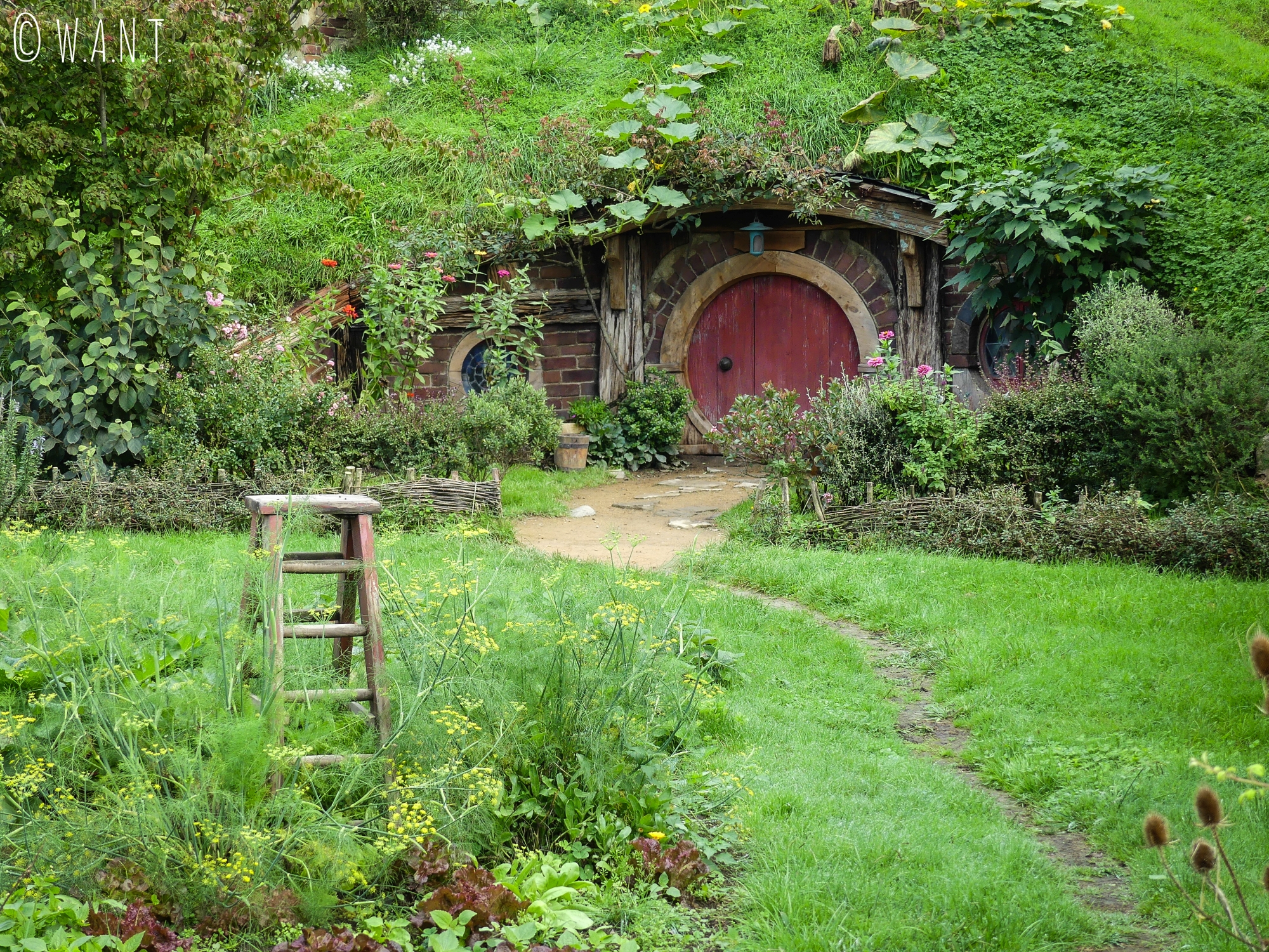 Maison de hobbit à Hobbiton en Nouvelle-Zélande