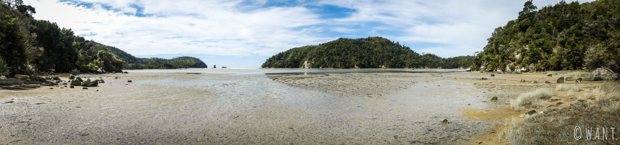 Marée basse au parc national Abel Tasman en Nouvelle-Zélande