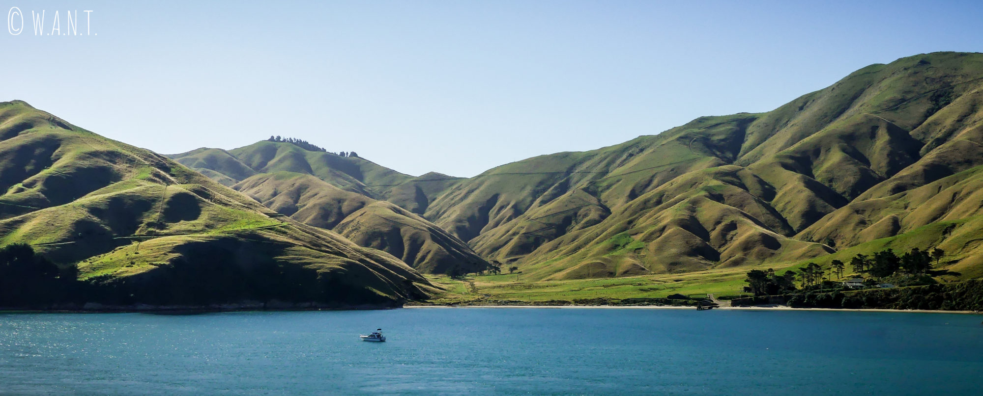 Mer et montagne à l'arrivée en ferry sur l'île du sud de la Nouvelle-Zélande