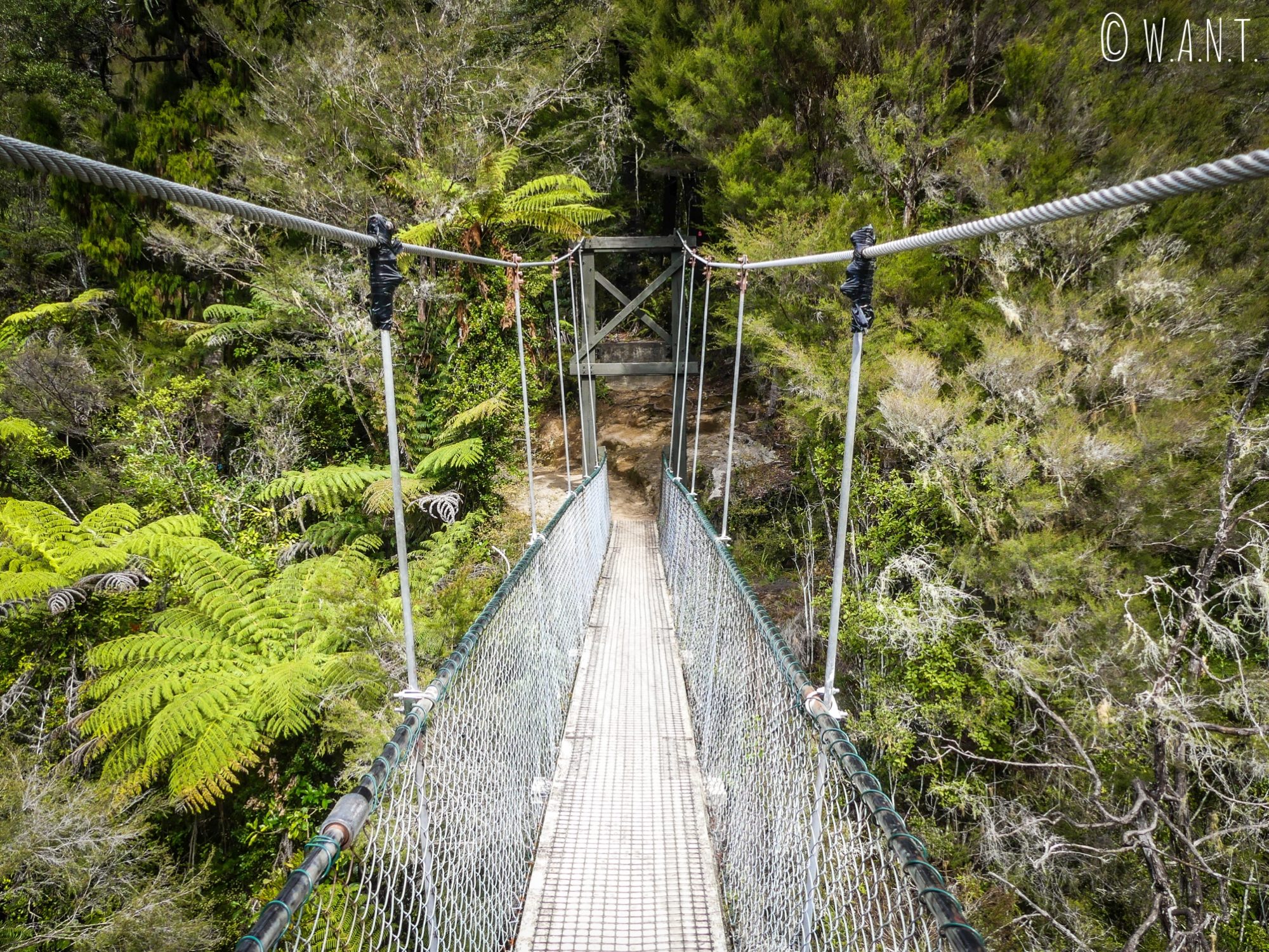 Nous traversons de nombreux ponts suspendus durant la randonnée Abel Tasman Coast Track en Nouvelle-Zélande