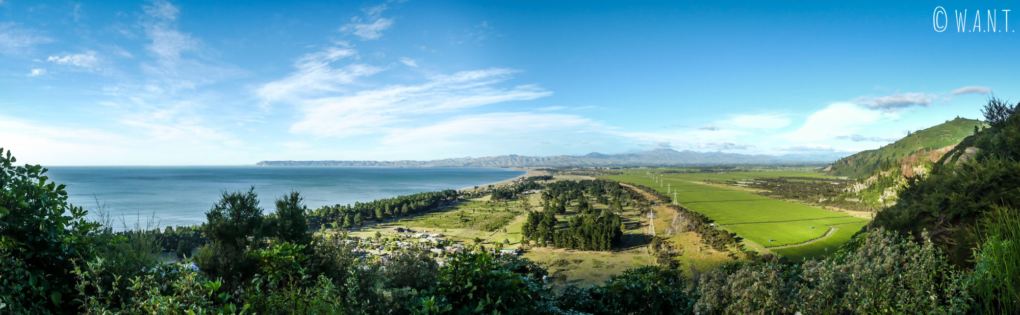 Panorama sur la route du camping Robin Hood dans la région de Malborough Sounds en Nouvelle-Zélande