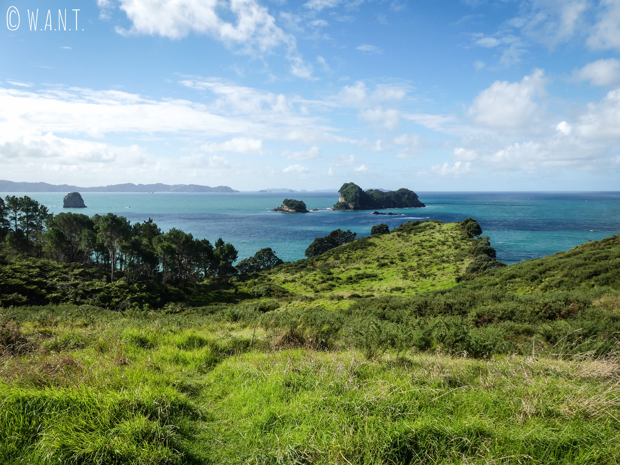 Panorama visible sur la promenade qui relie Hahei à Cathedral Cove en Nouvelle-Zélande