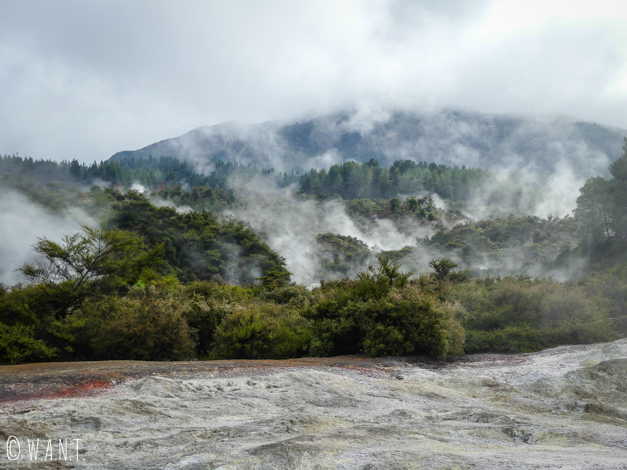 Paysage incroyable du site géothermique et volcanique de Wai-O-Tapu en Nouvelle-Zélande