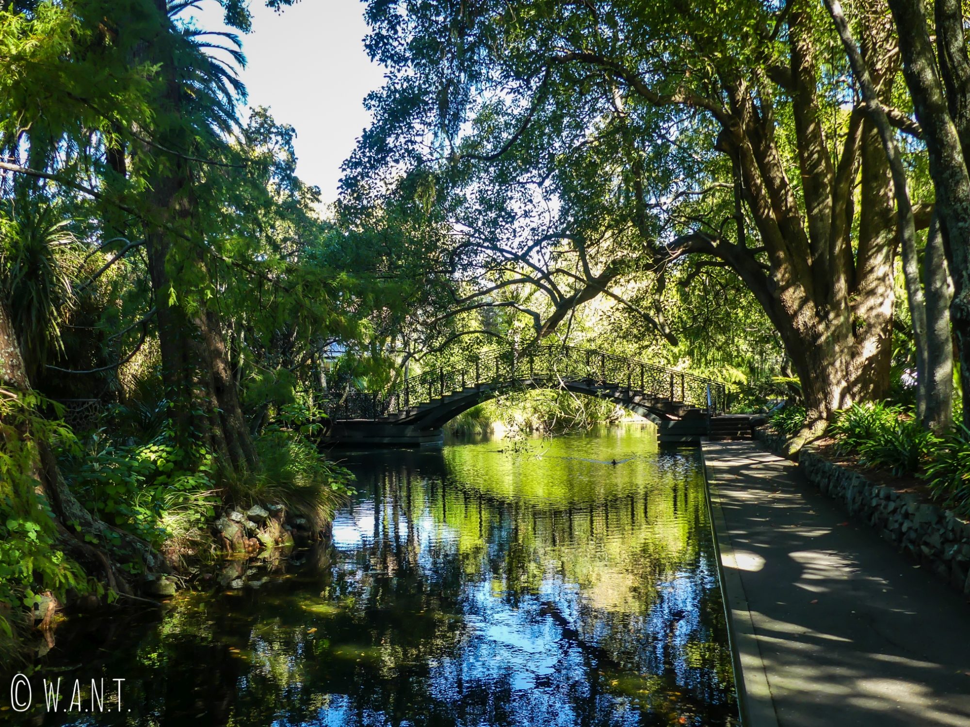 Pont et canards dans le Queen's Gardens de Nelson sur l'île du sud de la Nouvelle-Zélande