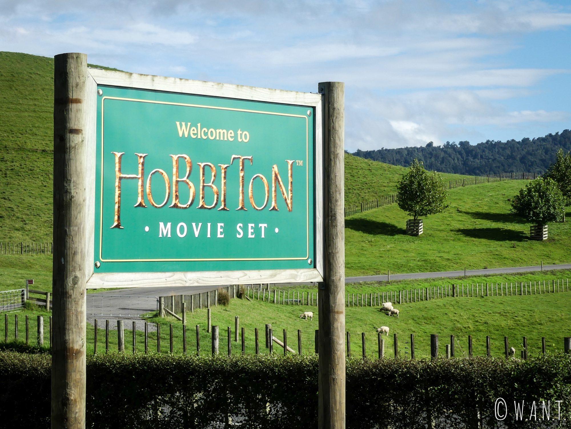 Pour Benjamin qui est fan du Seigneur des Anneaux, il était impensable de louper la visite du village de Hobbiton, sur l'île du nord de la Nouvelle-Zélande