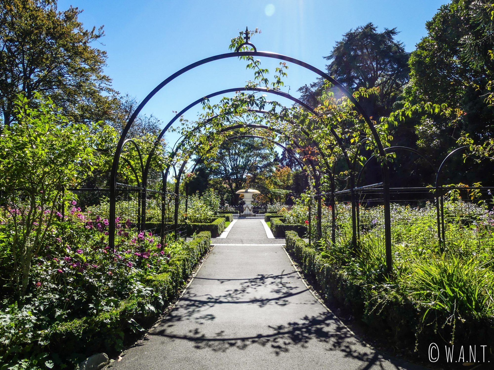 Promenade au milieu des fleurs du Queen's Gardens de Nelson sur l'île du sud de la Nouvelle-Zélande