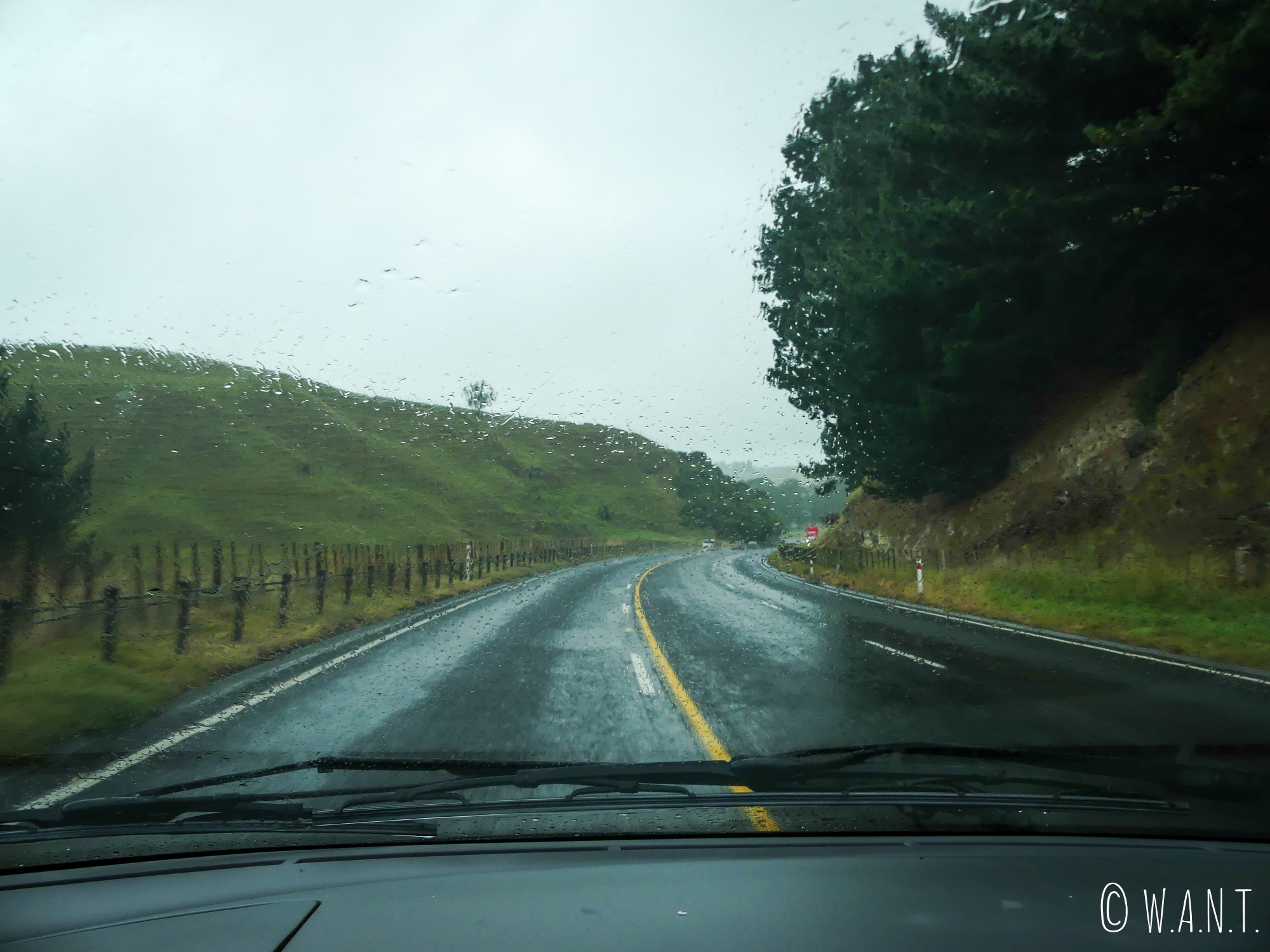 Route pluvieuse mais route heureuse en direction de Wellington, la capitale de la Nouvelle-Zélande
