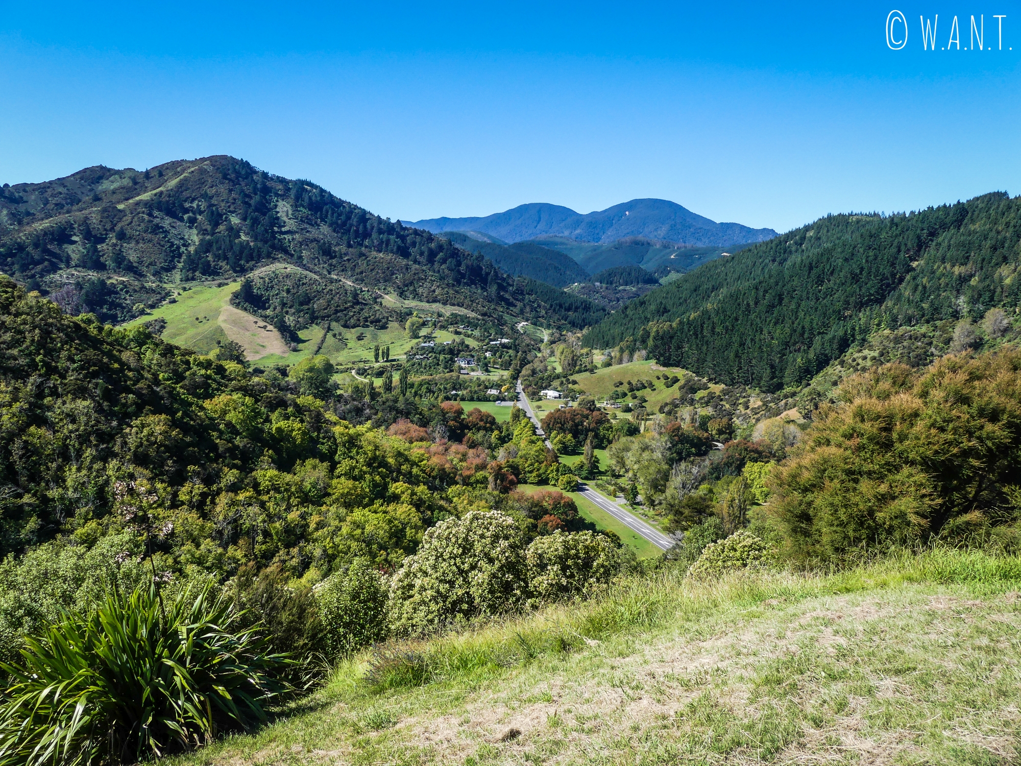 Second point de vue depuis le sommet de la Botanical Hill de Nelson en Nouvelle-Zélande