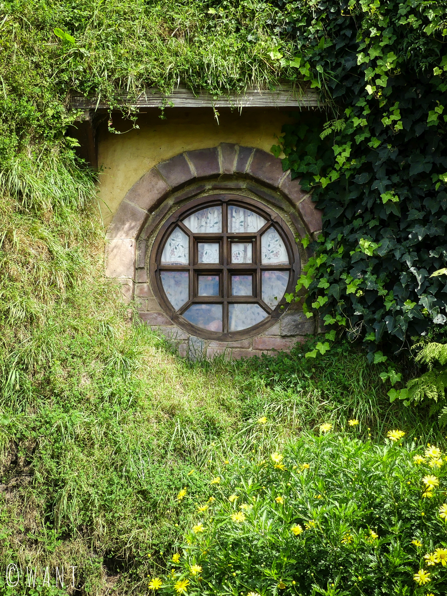 Y-aurait-il un petit hobbit qui nous observerait depuis la fenêtre de sa maison à Hobbiton en Nouvelle-Zélande