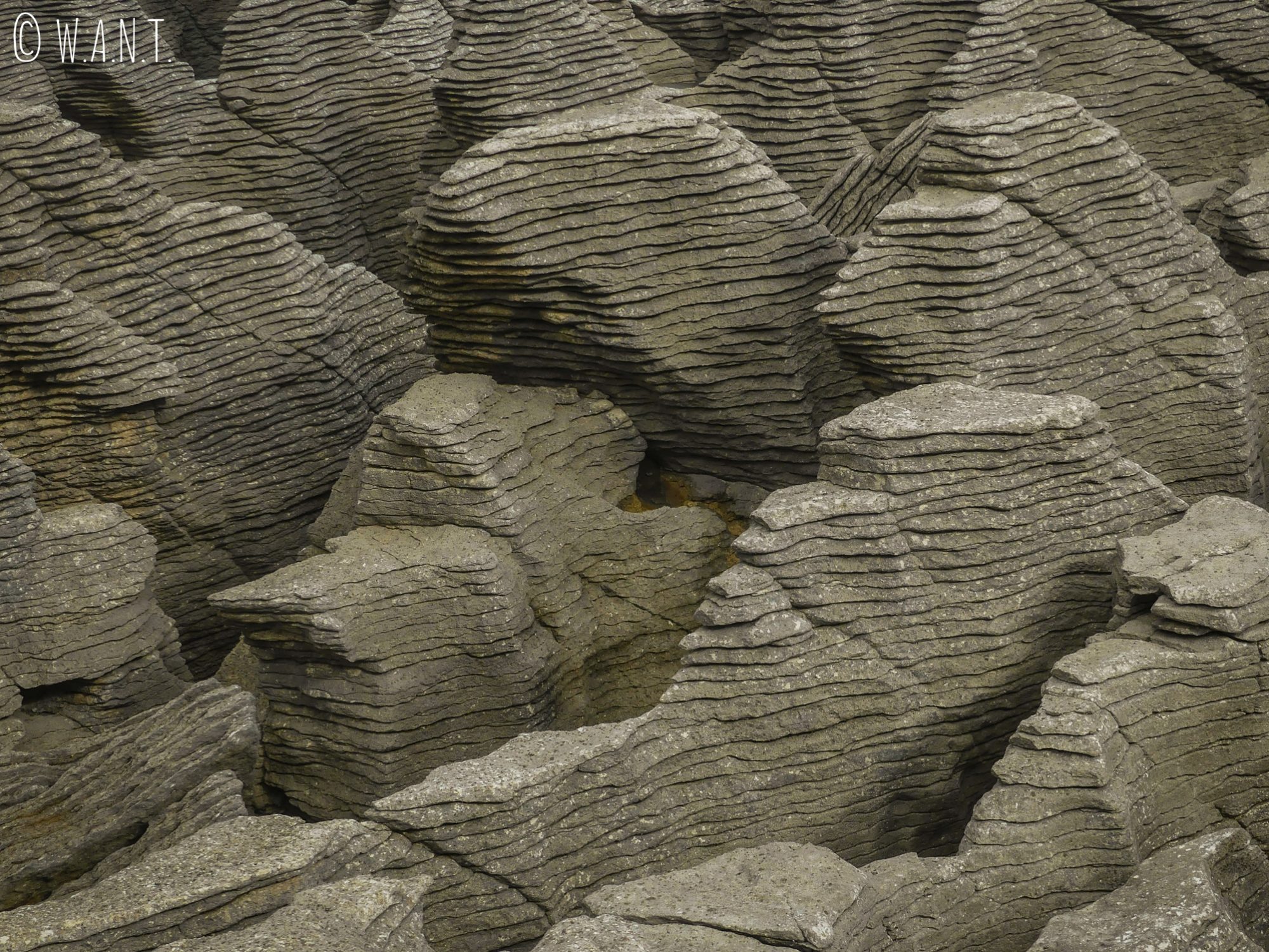 Gros plan sur les Pancake Rocks sur l'île du sud de la Nouvelle-Zélande
