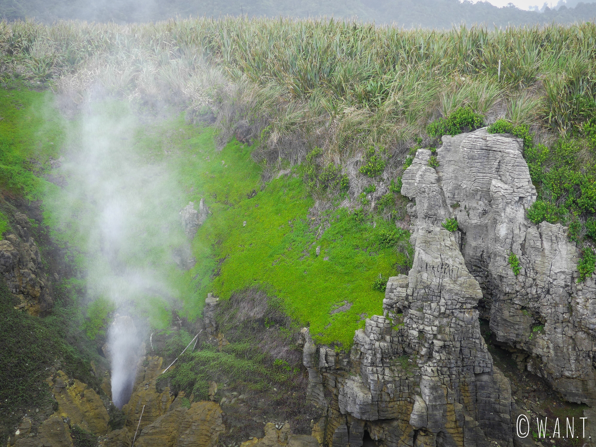 Il est possible d'admirer des blowholes au Pancake Rocks en Nouvelle-Zélande