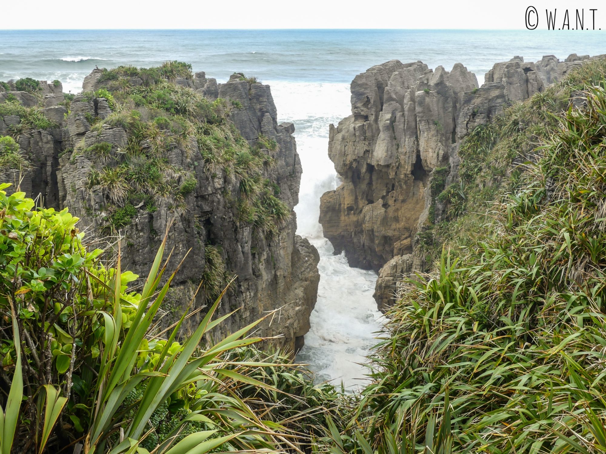 La mer s'engouffre dans les Pancake Rocks sur l'île du sud de la Nouvelle-Zélande