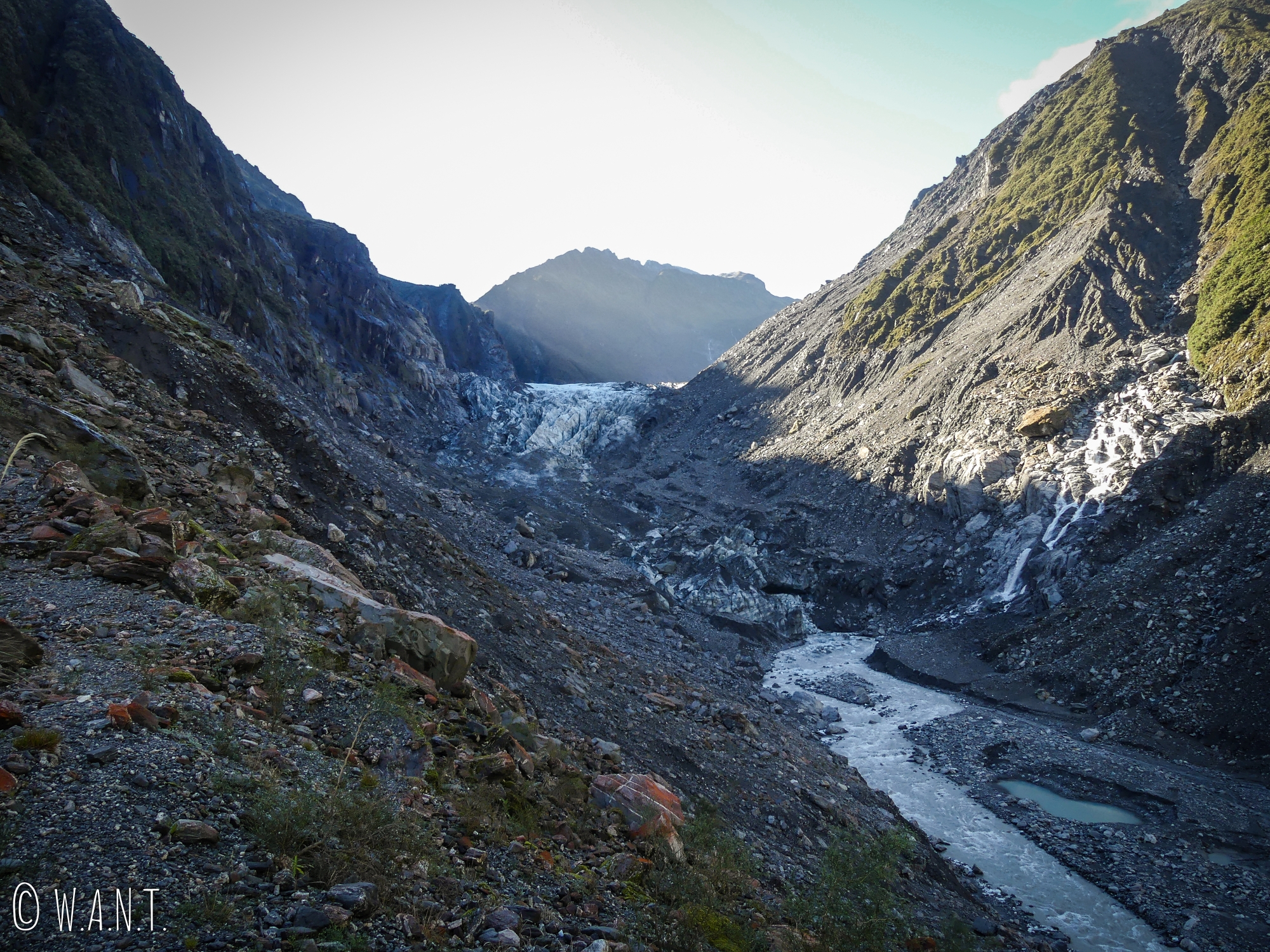 Le Fox Glacier est dans un état critique en Nouvelle-Zélande