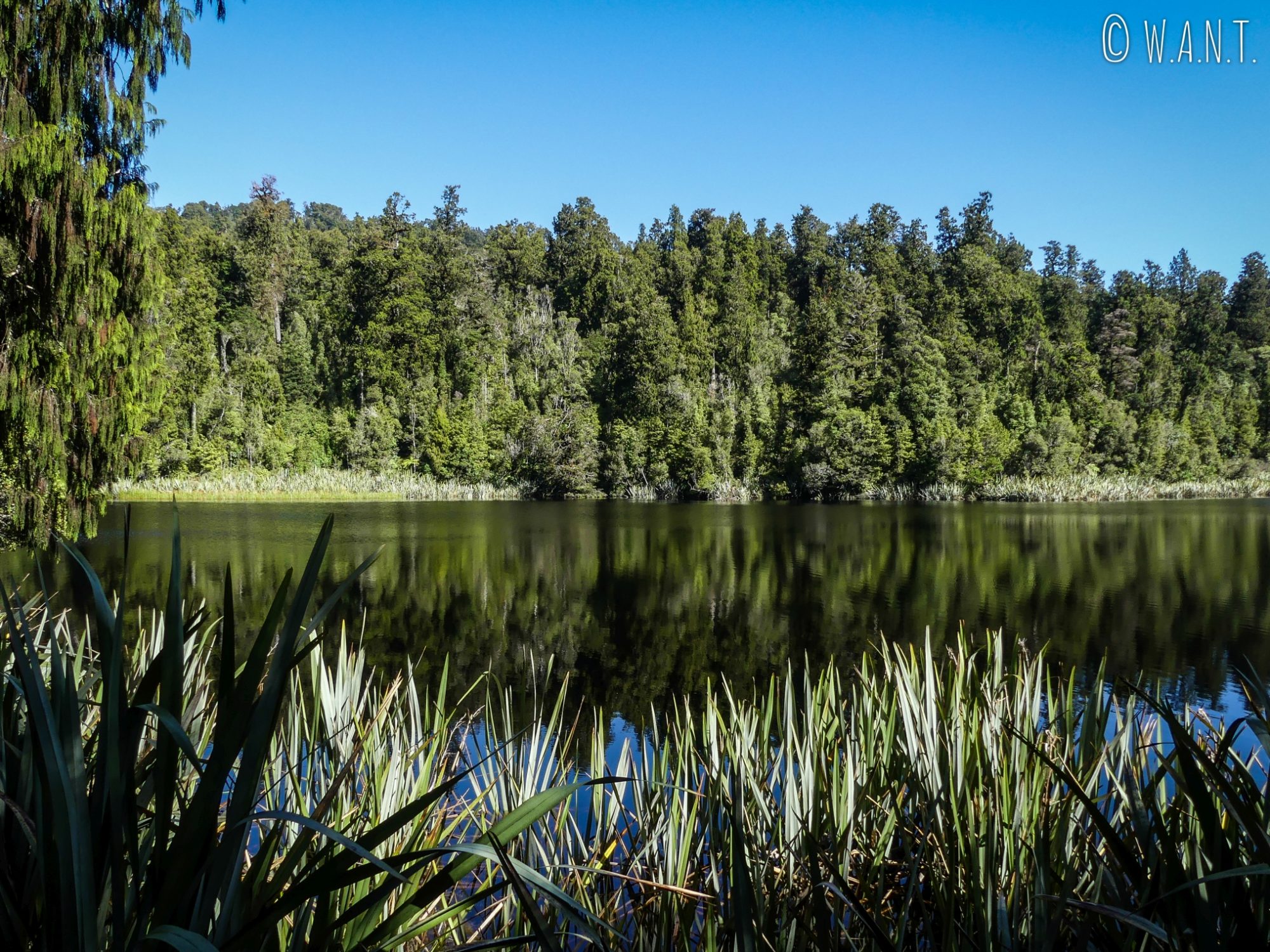 Le lac Matheson en Nouvelle-Zélande est réputé pour ses reflets incroyables sur l'eau