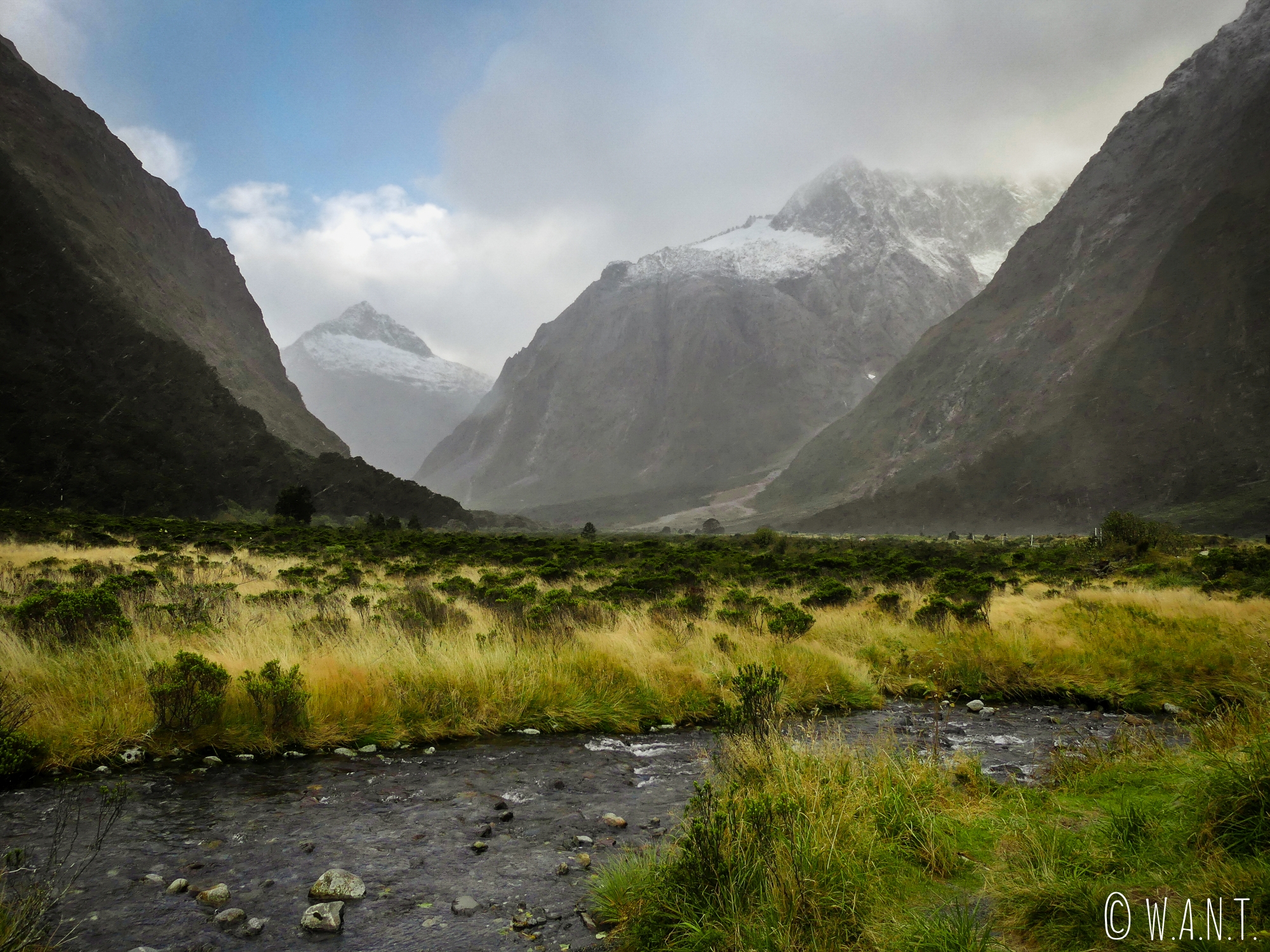 La brume rend le paysage mystique au Fiordland National Park en Nouvelle-Zélande