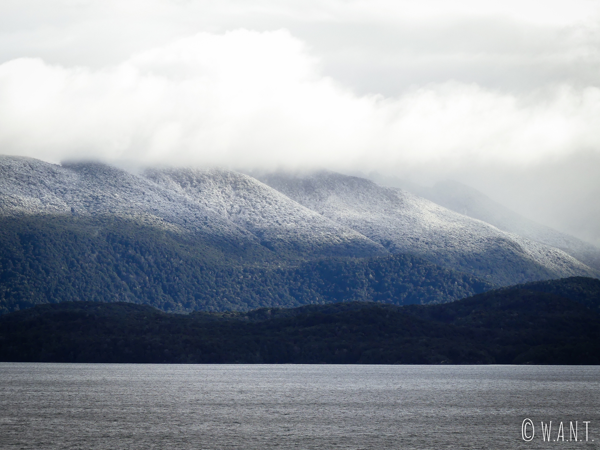 La neige se met à tomber sur le chemin du retour de Milford Sound en Nouvelle-Zélande