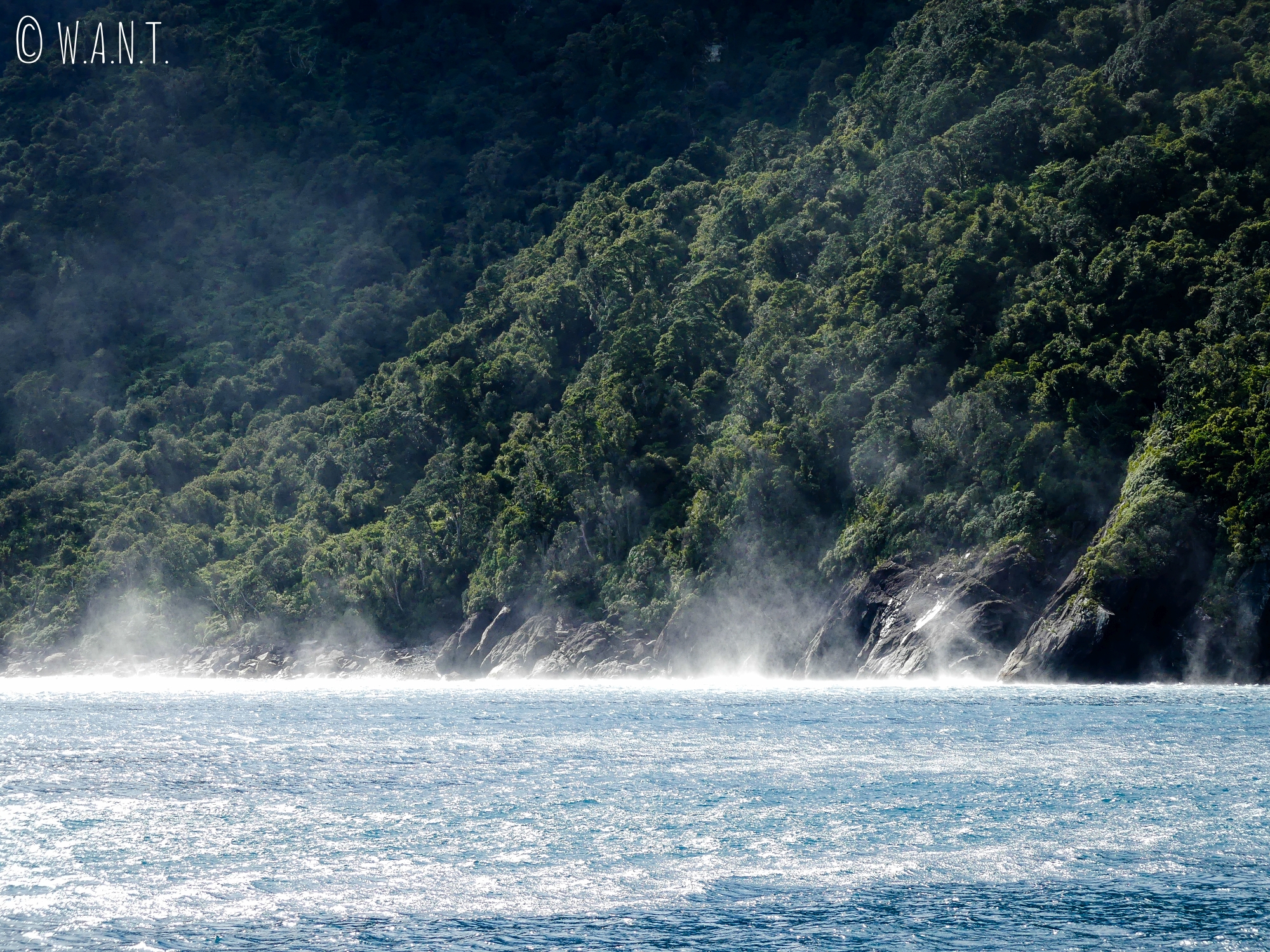 Nous observons des tourbillons d'eau sur la mer de Tasman en Nouvelle-Zélande