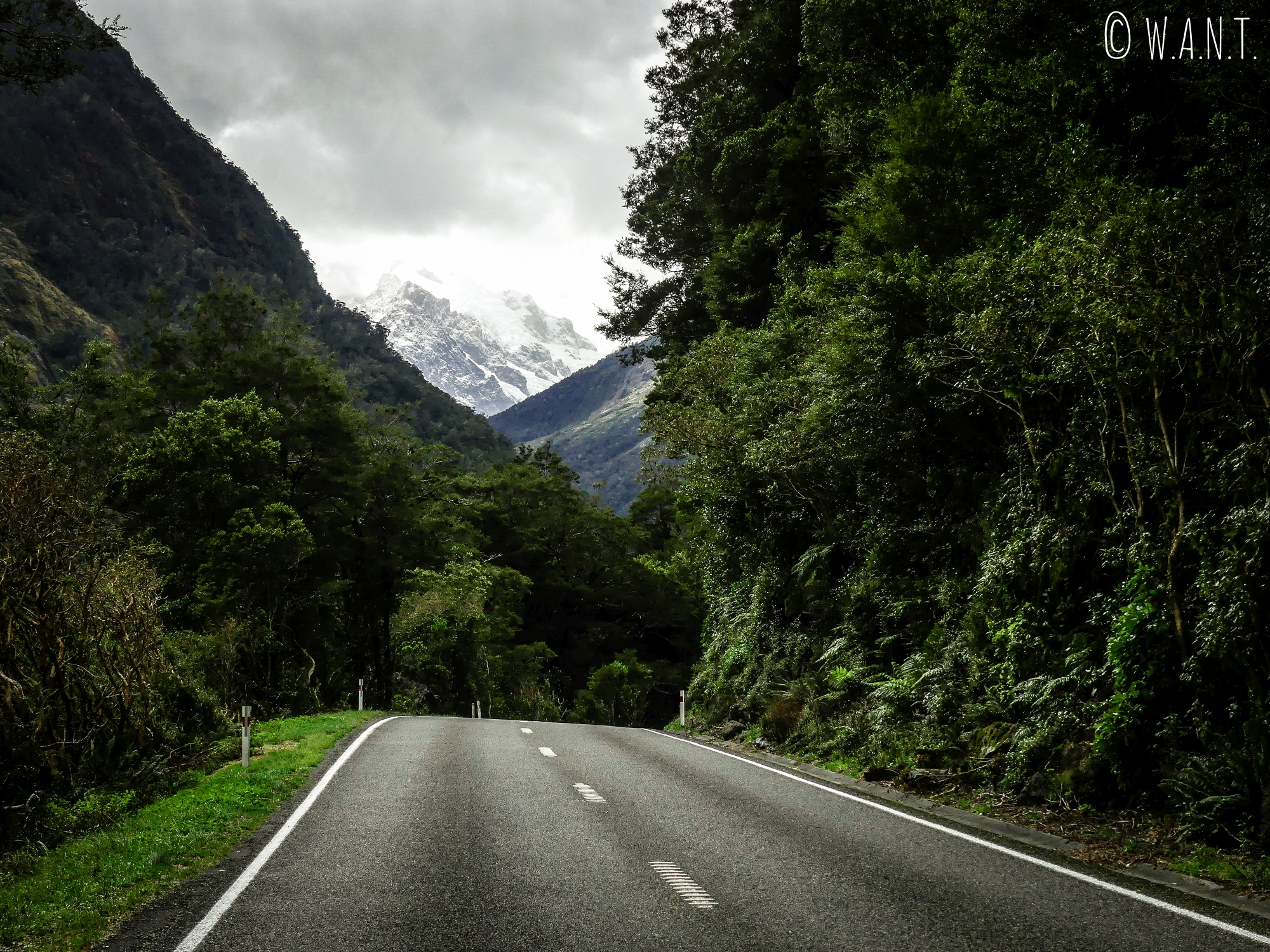 Nous reprenons la route pour quitter le Fiordland National Park en Nouvelle-Zélande