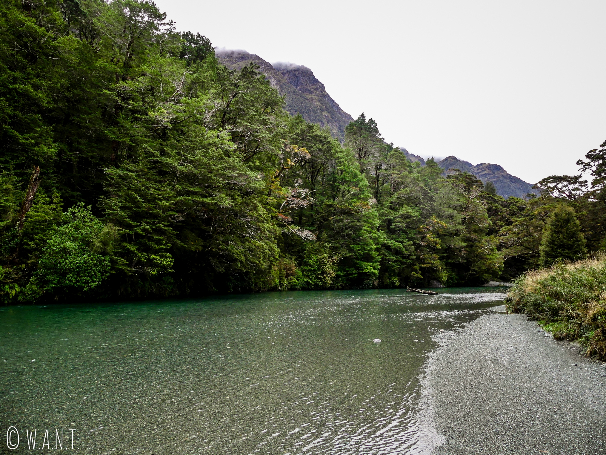 Promenade le long de la rivière qui borde le Deer Flat Camping dans le Fiordland National Park de Nouvelle-Zélande
